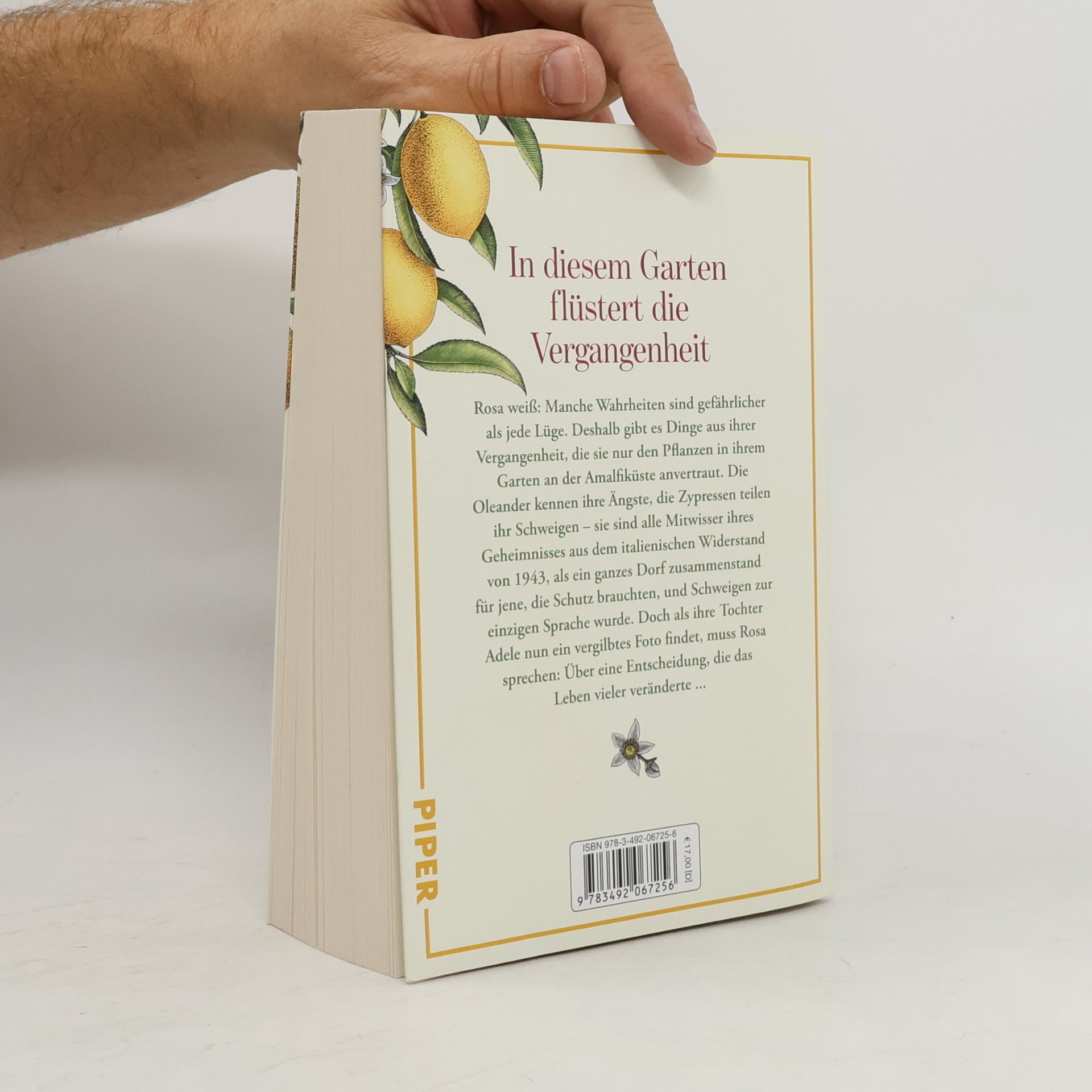 Antonia Riepp Der Garten der Geheimnisse