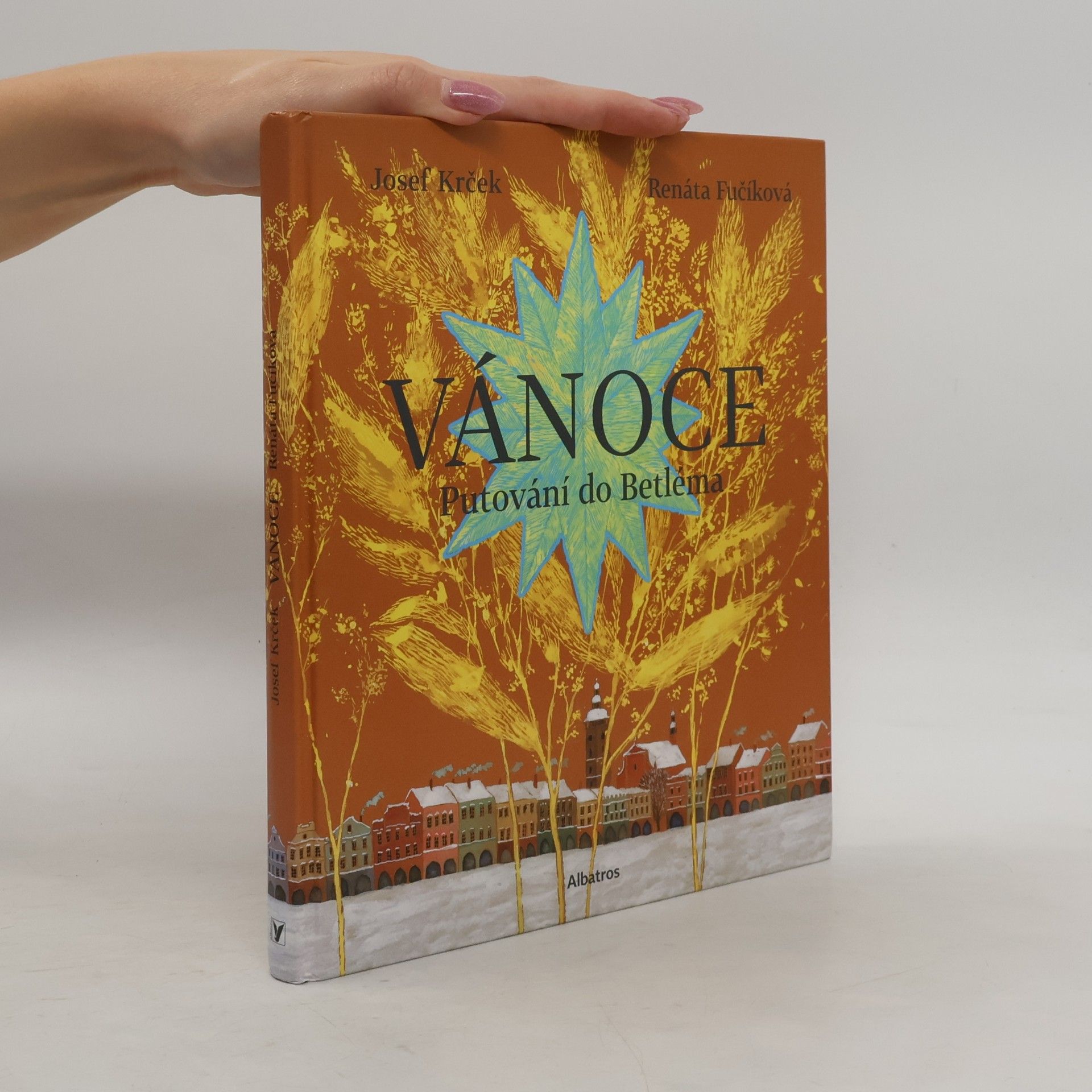 Vánoce : putování do Betléma