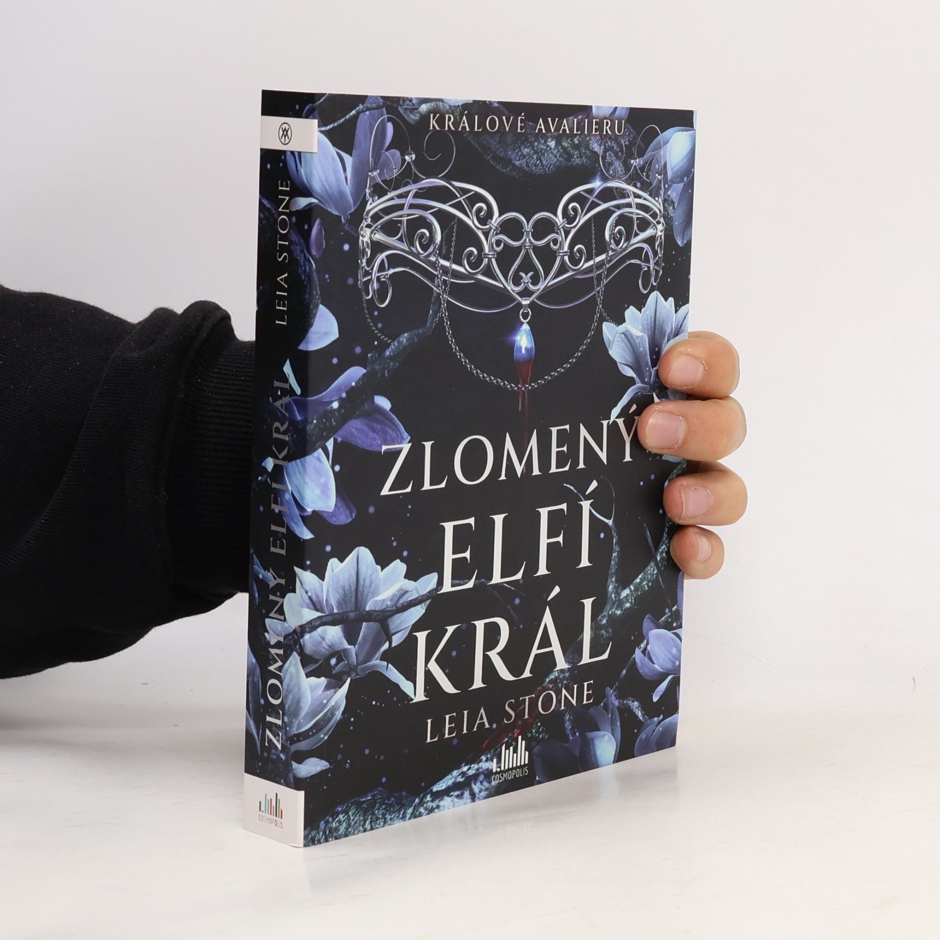 Leia Stone Zlomený elfí král