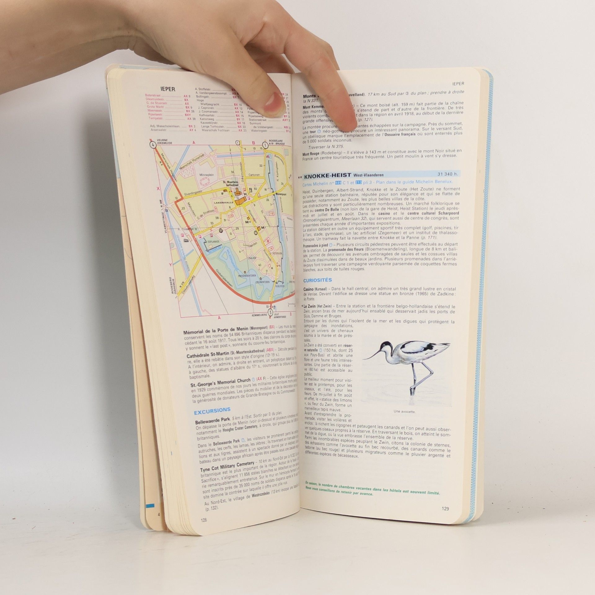 Michelin Travel Publications Staff Michelin Green Guide: Belgique Grand-Duché de Luxembourg