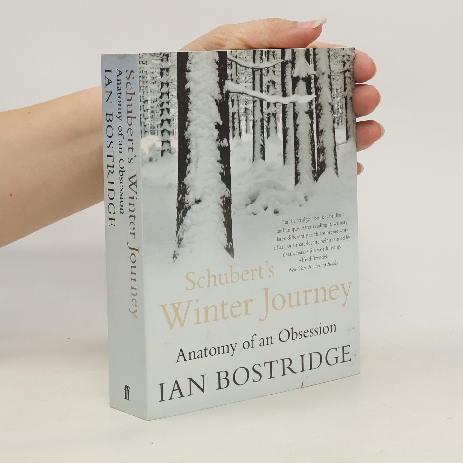 Ian Bostridge Schubert's Winter Journey