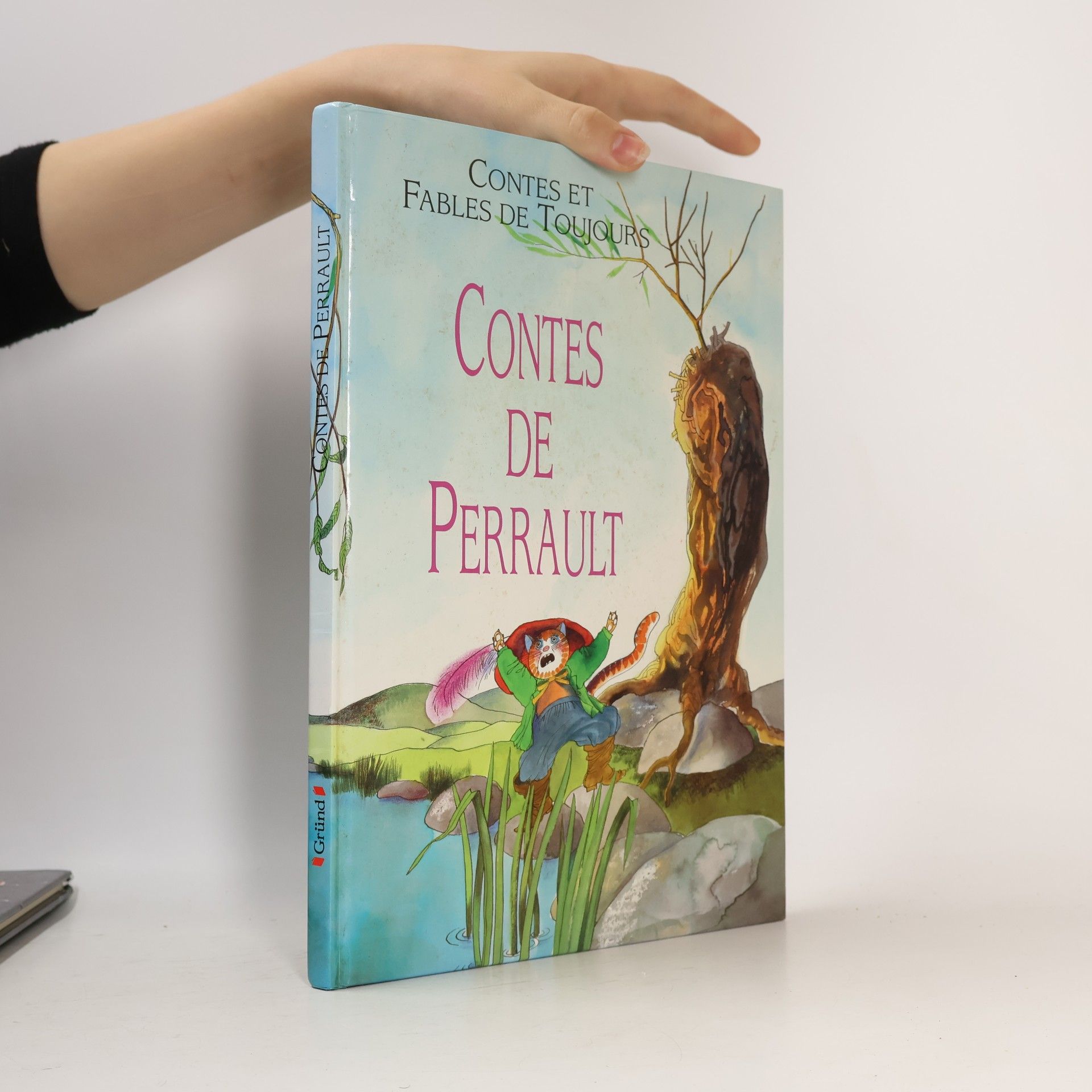 Charles Perrault Contes et Fables de Toujours: Contes de Perrault