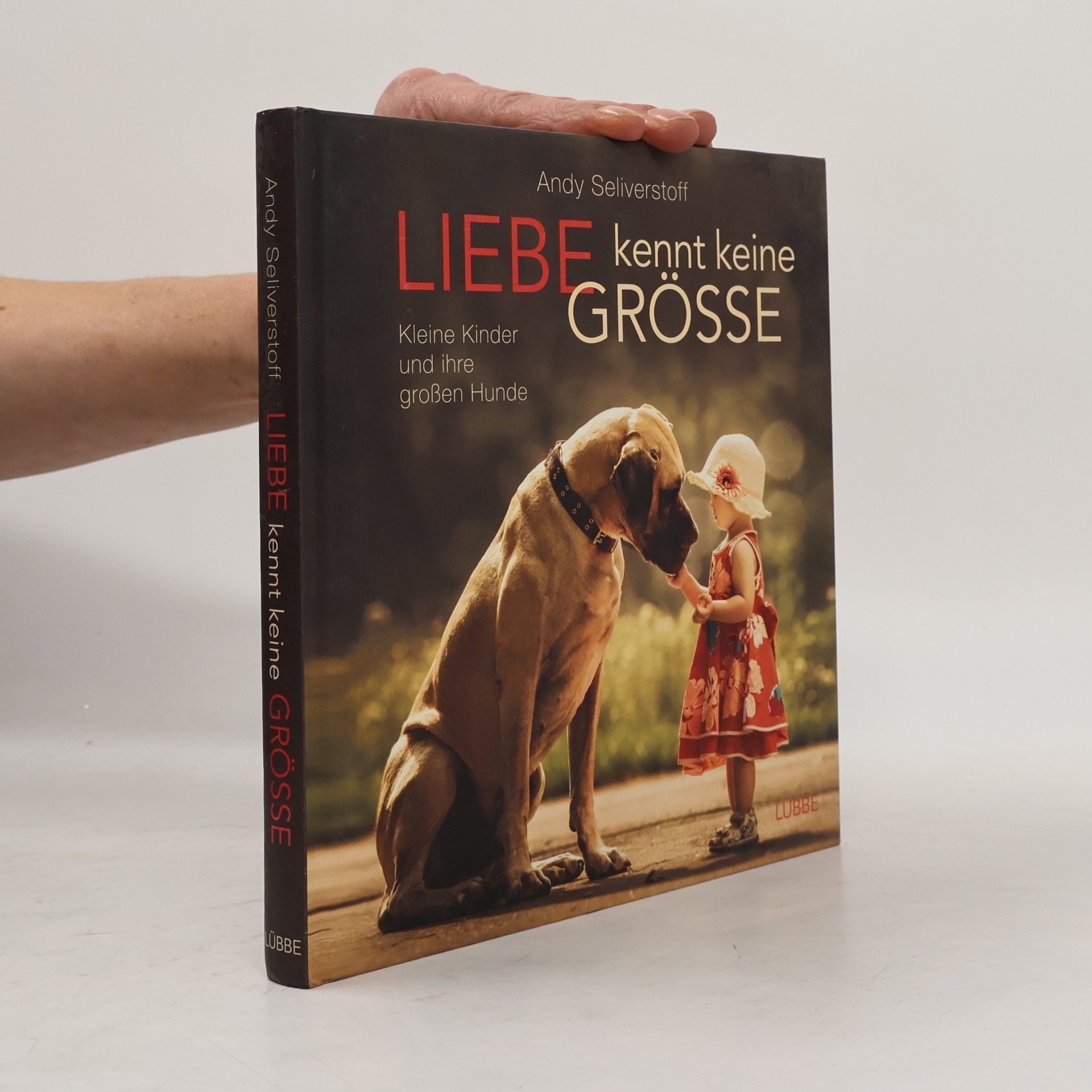 Andy Seliverstoff Liebe kennt keine Größe