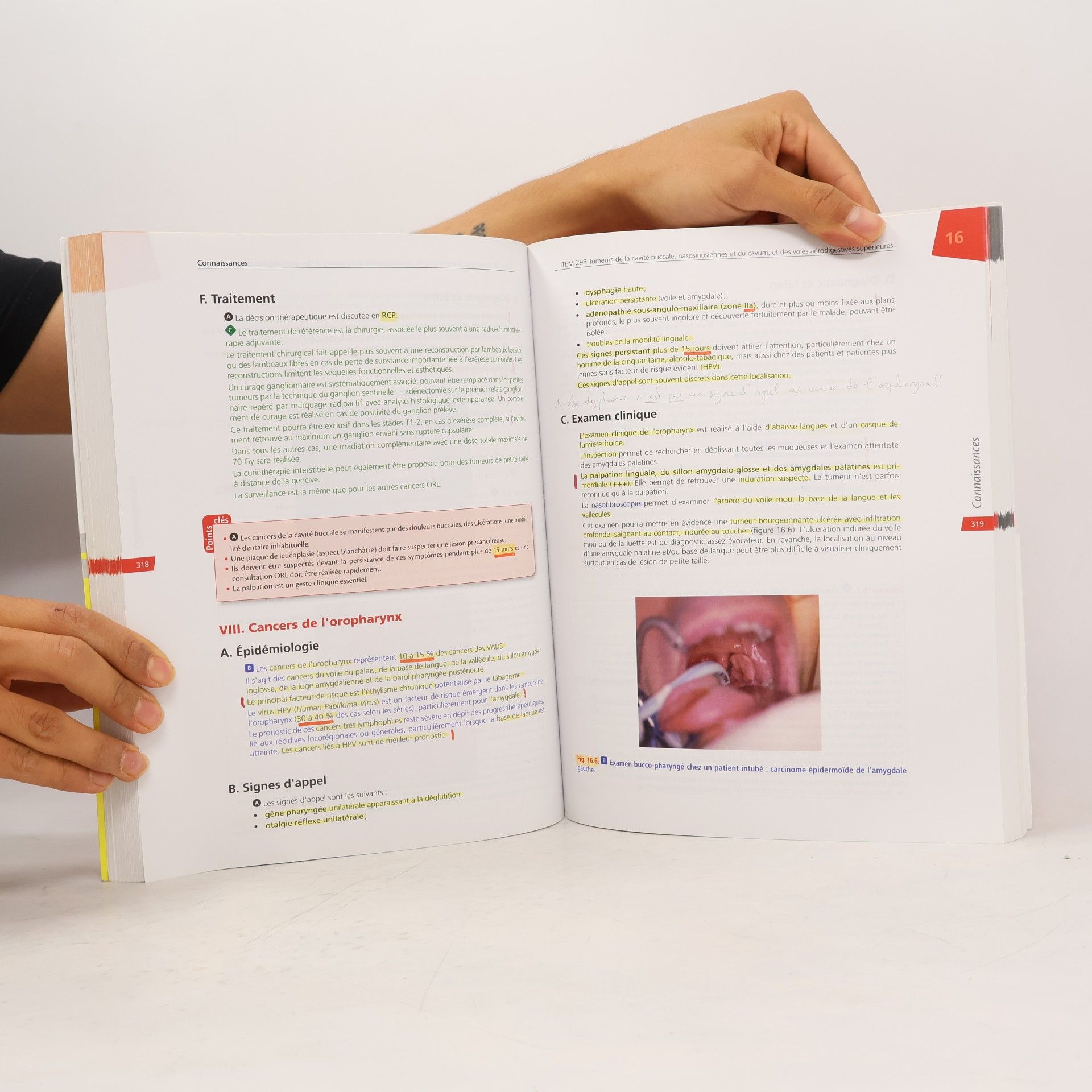 Collège français d'ORL et de chirurgie cervico-faciale ORL