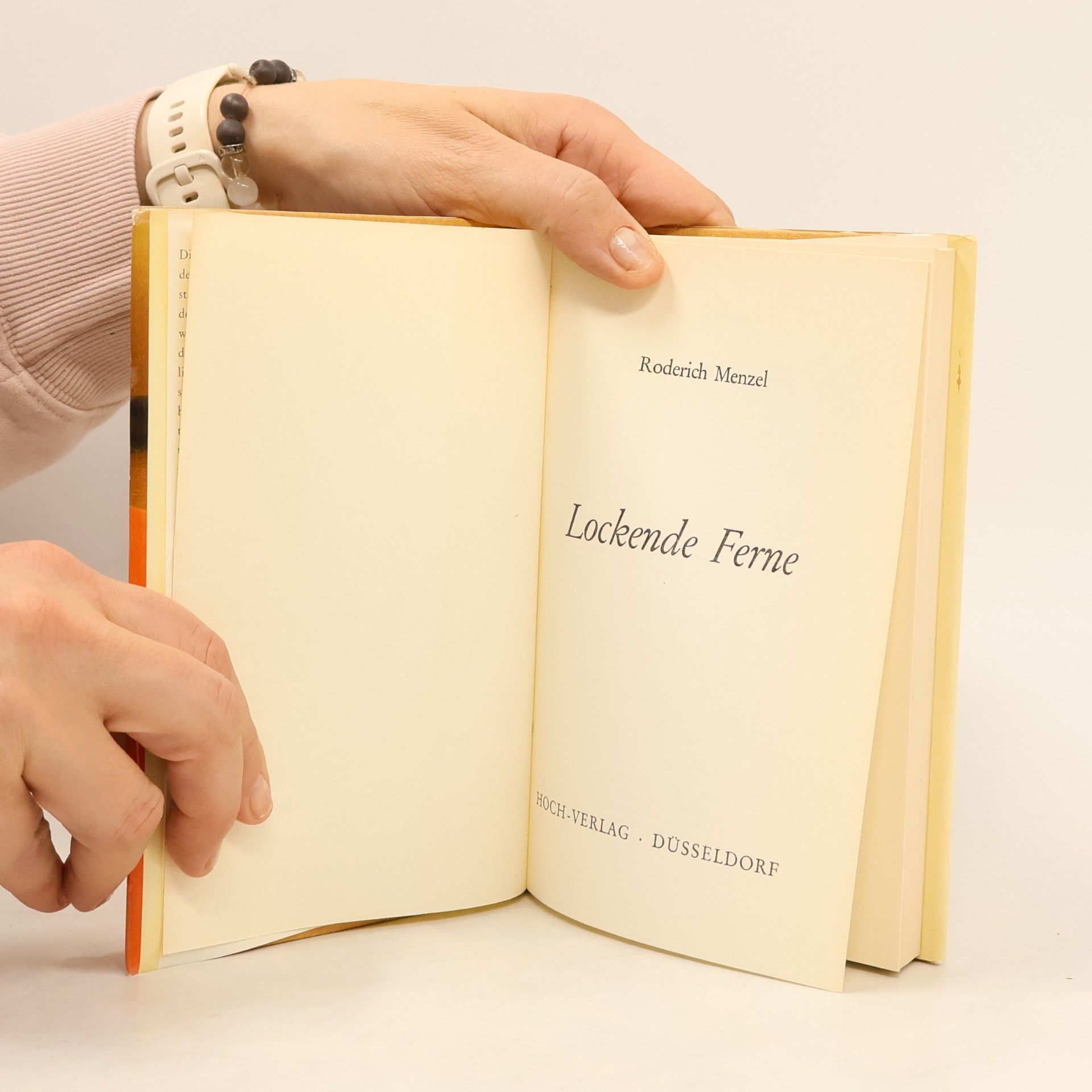 Roderich Menzel Lockende Ferne