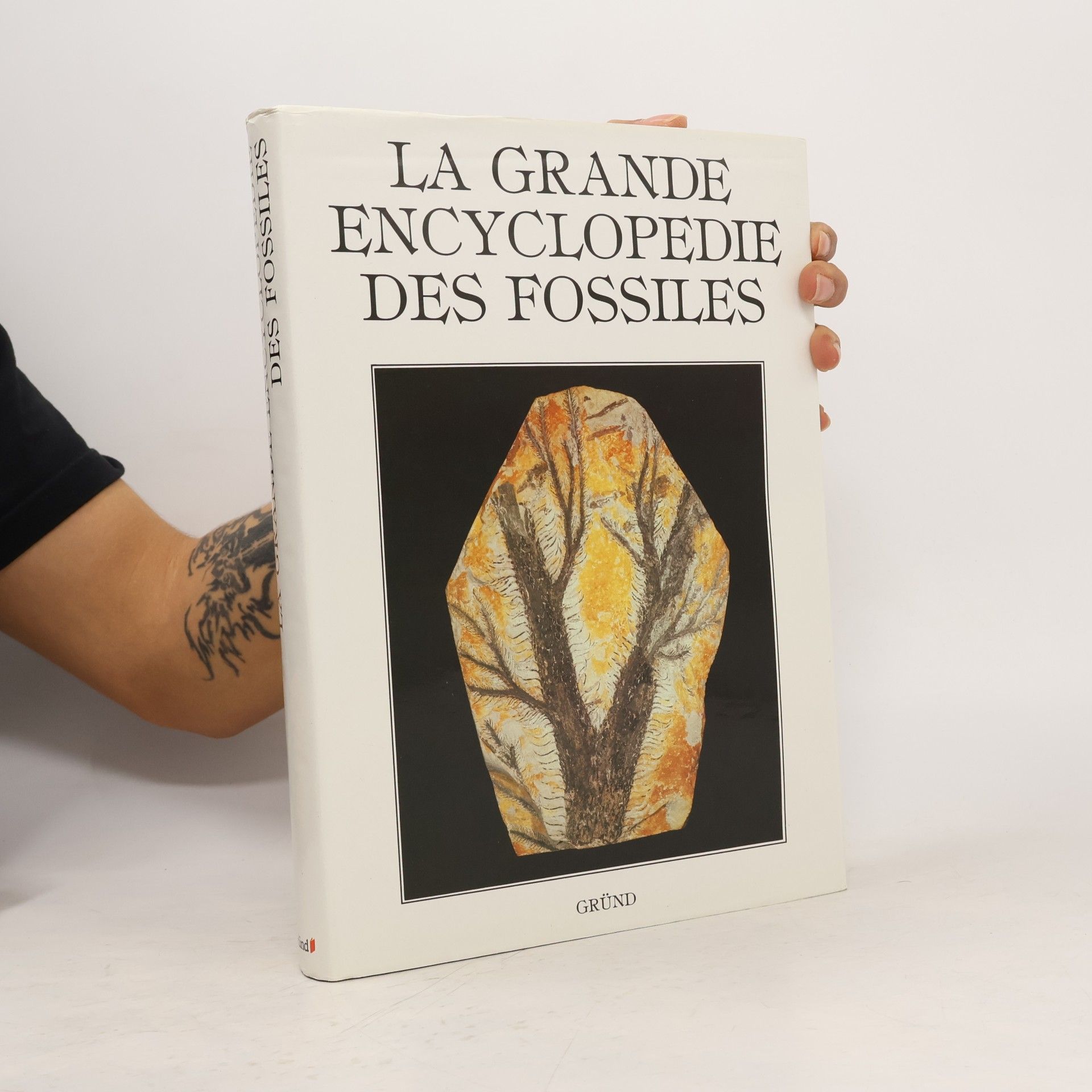 Kolektív autorov La grande encyclopedie des fossiles