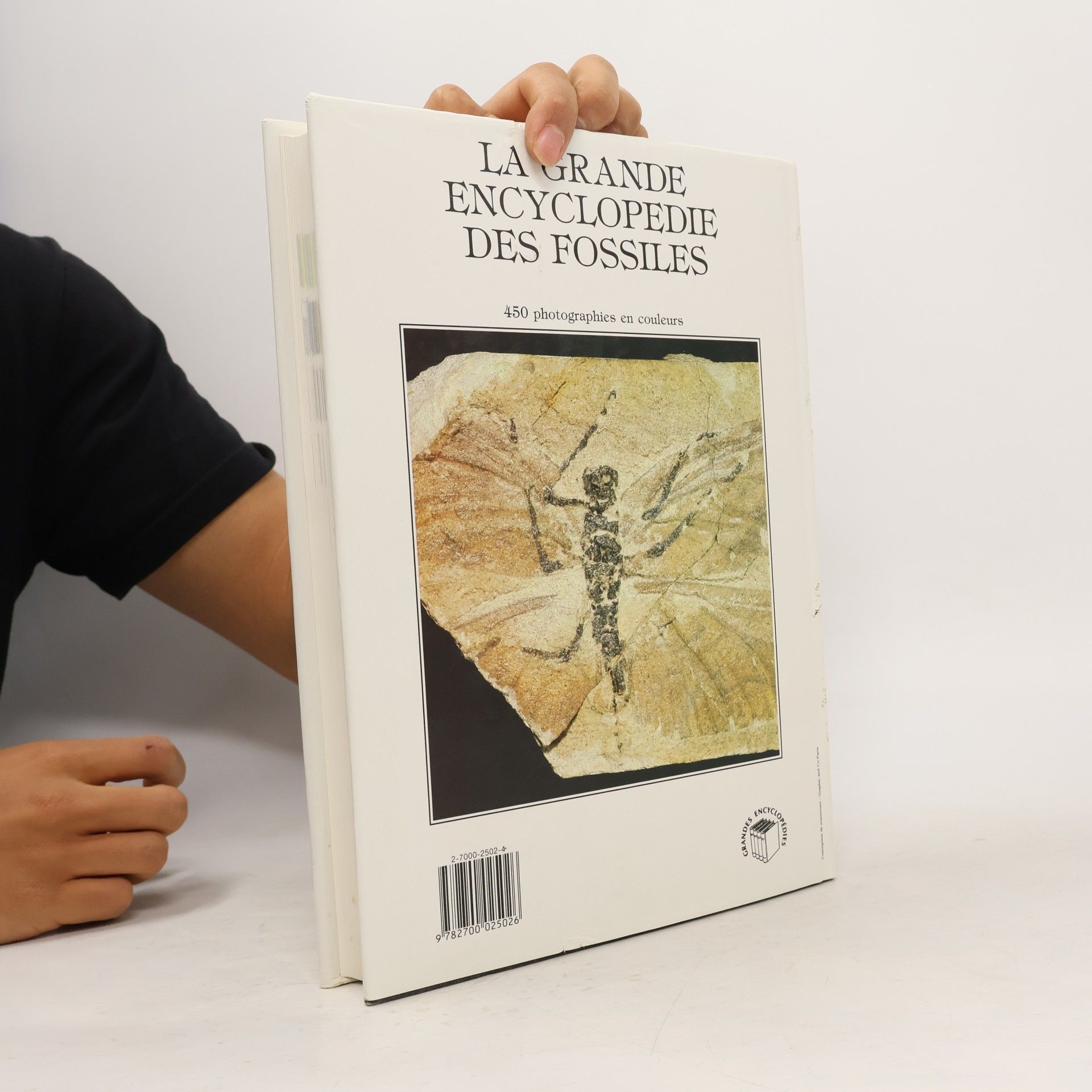 AA.VV. La grande encyclopedie des fossiles