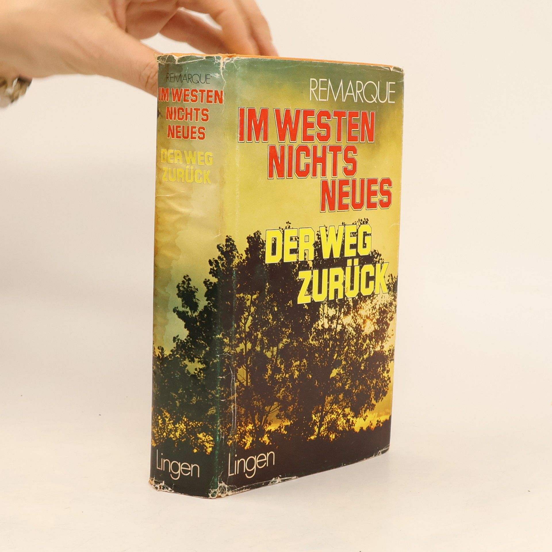 Erich Maria Remarque Im Westen nichts Neues/Der Weg zurück