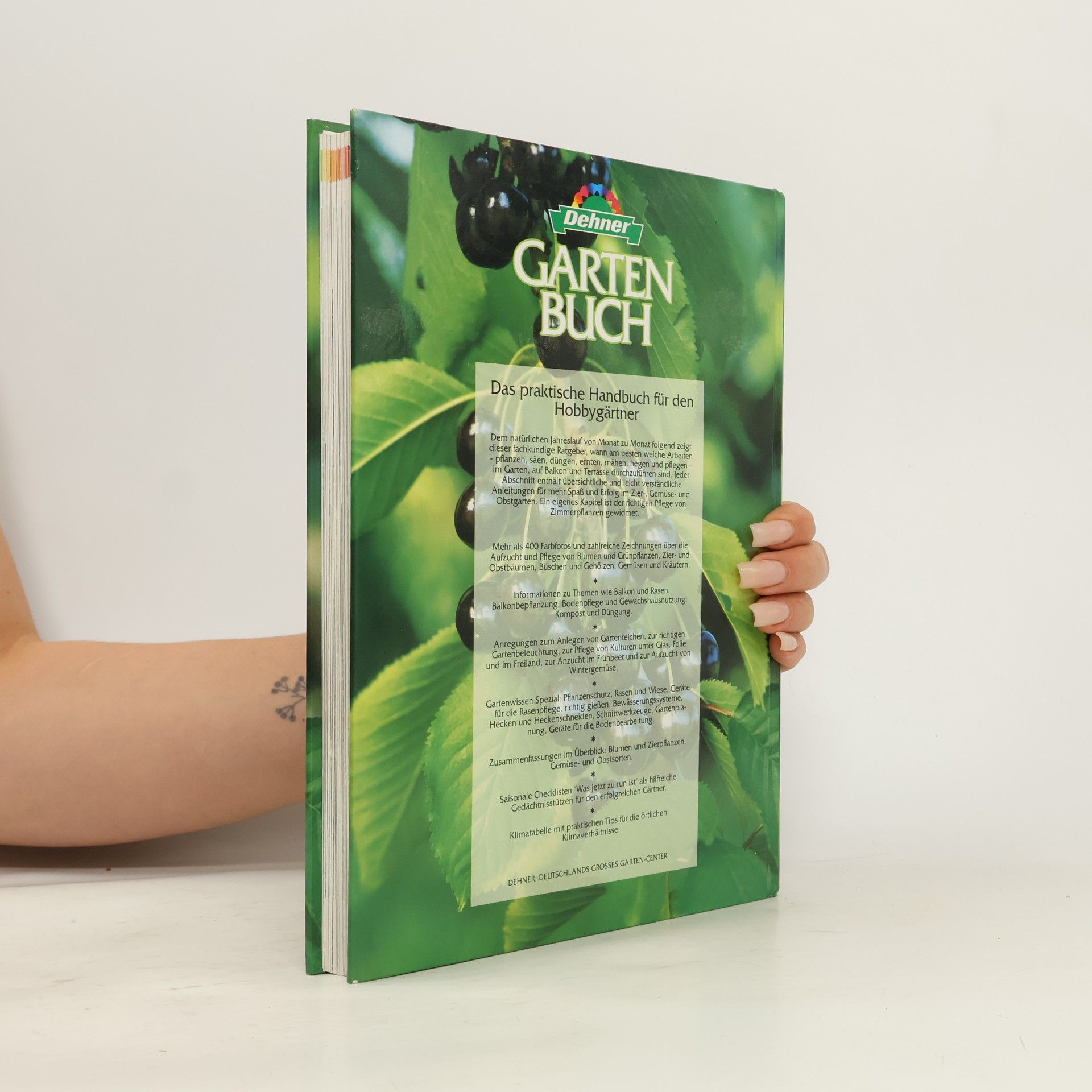 Autorenkollektiv Dehner-Gartenbuch