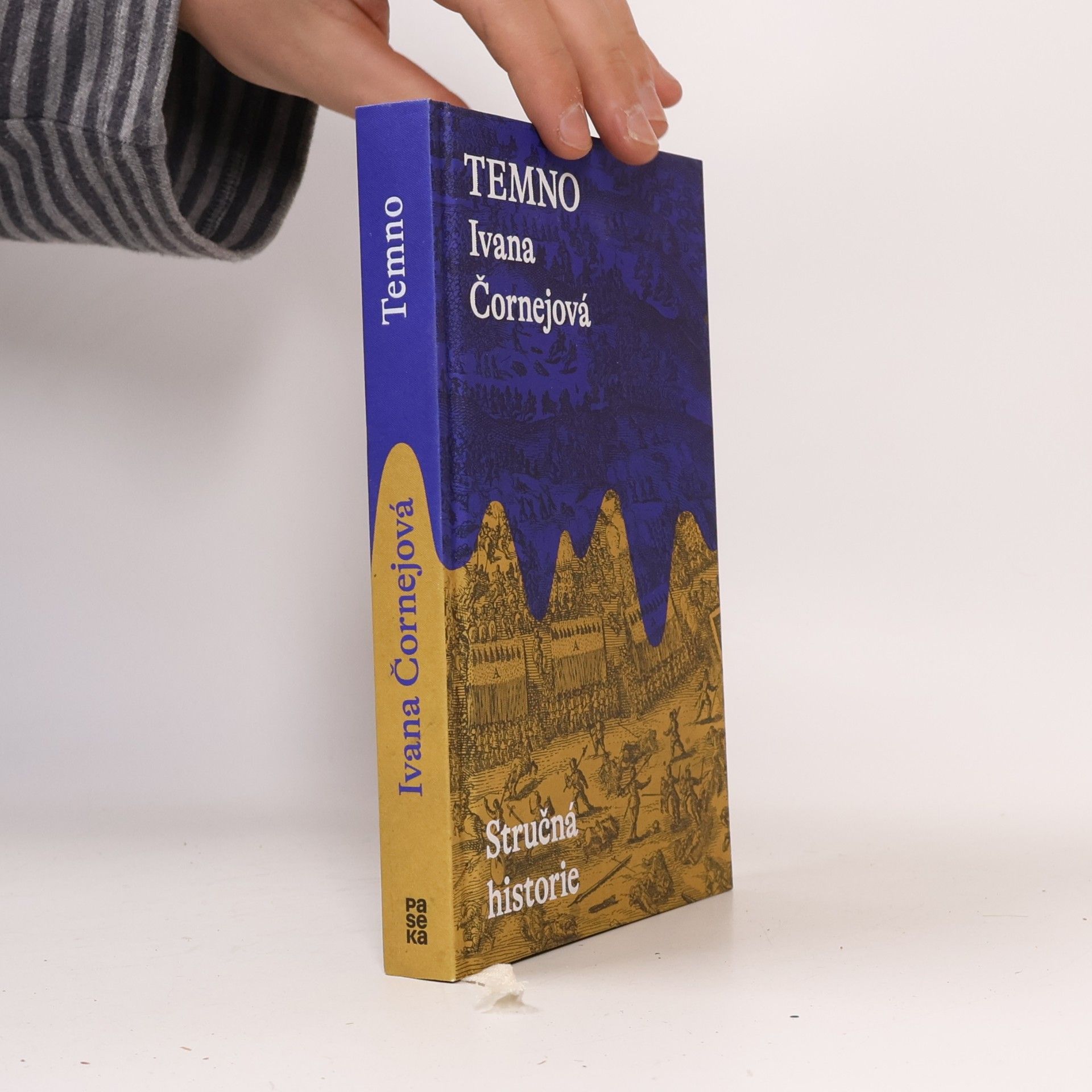 Ivana Čornejová Temno. Stručná historie