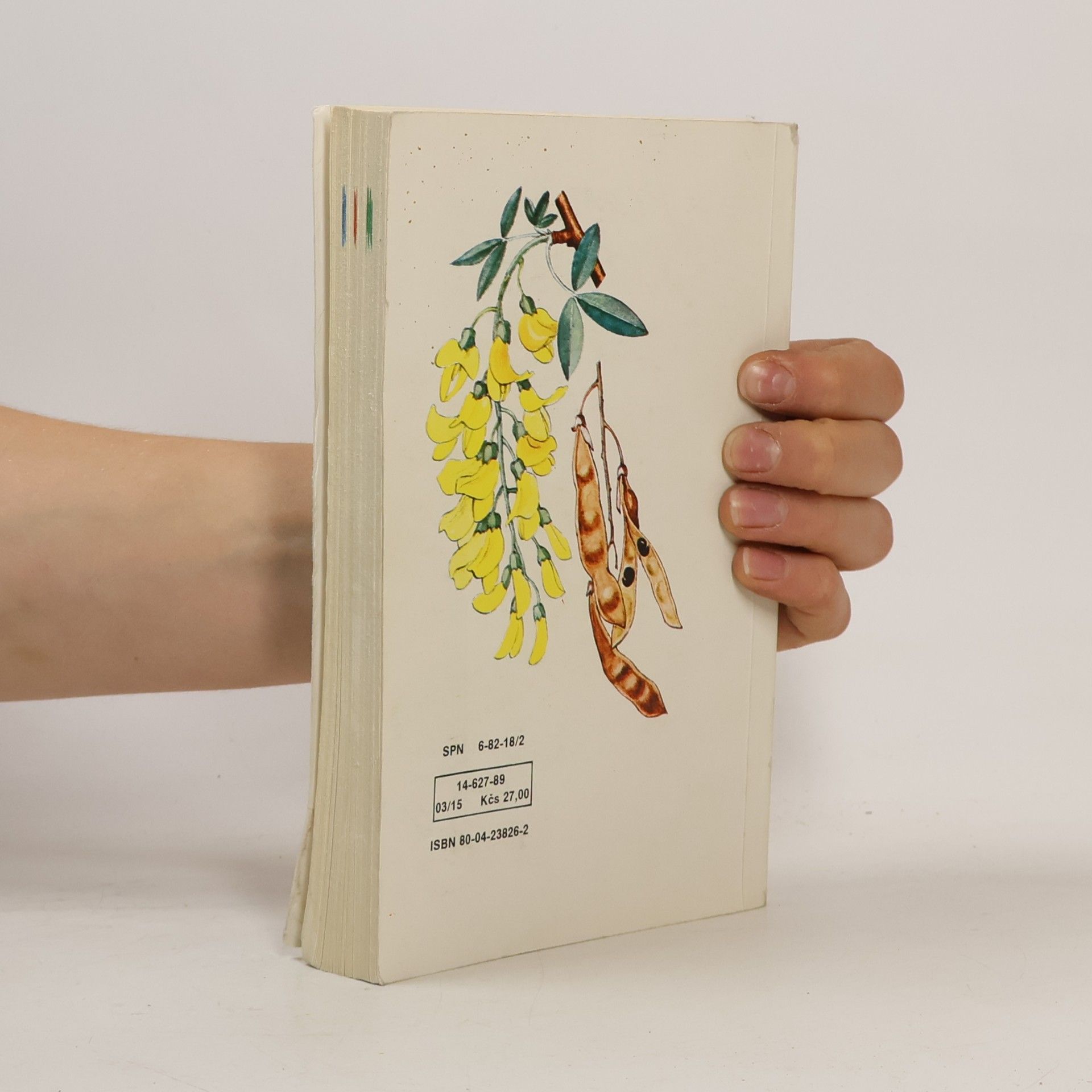Přemysl Vanke Plody planých a parkových rostlin : kapesní atlas : pomocná kniha pro biologické zájmové kroužky na školách, v Domech pionýrů a