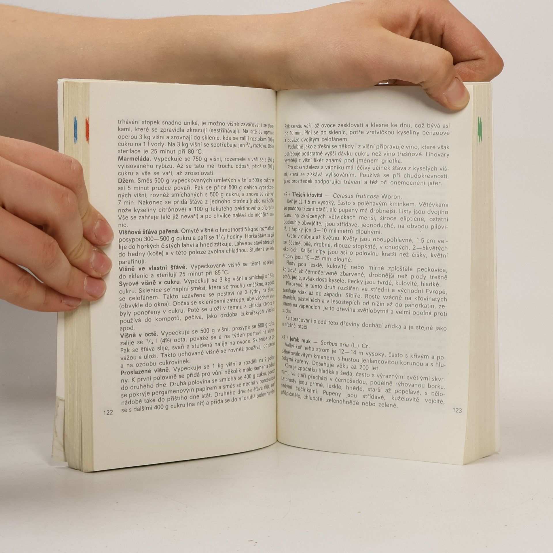 Přemysl Vanke Plody planých a parkových rostlin : kapesní atlas : pomocná kniha pro biologické zájmové kroužky na školách, v Domech pionýrů a