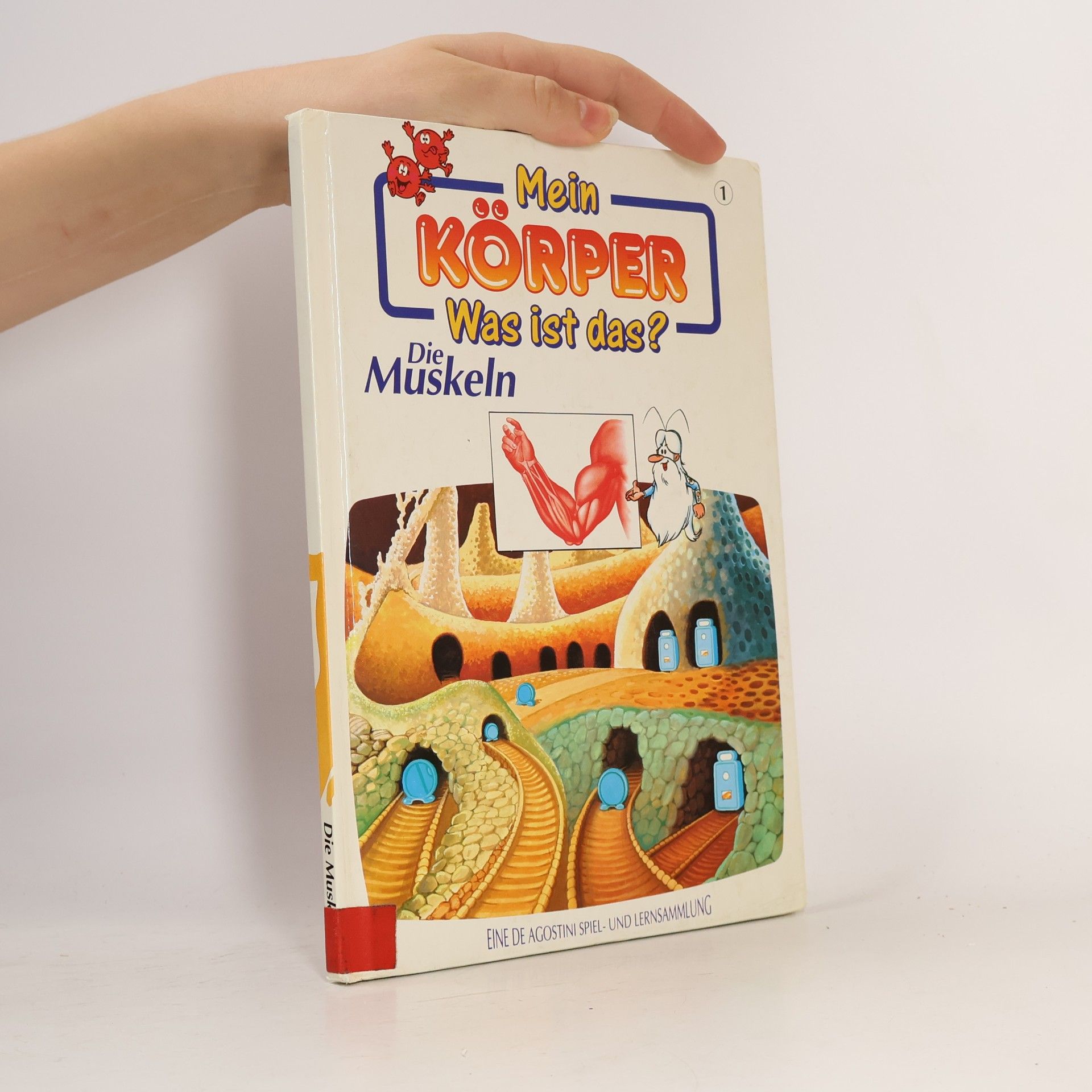 Autorenkollektiv Mein Körper. Was ist das? Die Muskeln 1