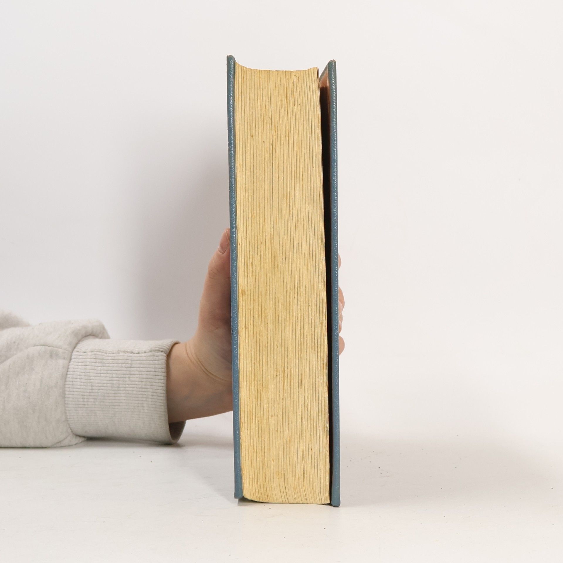 Erna Zietzschmann Das große Kochbuch