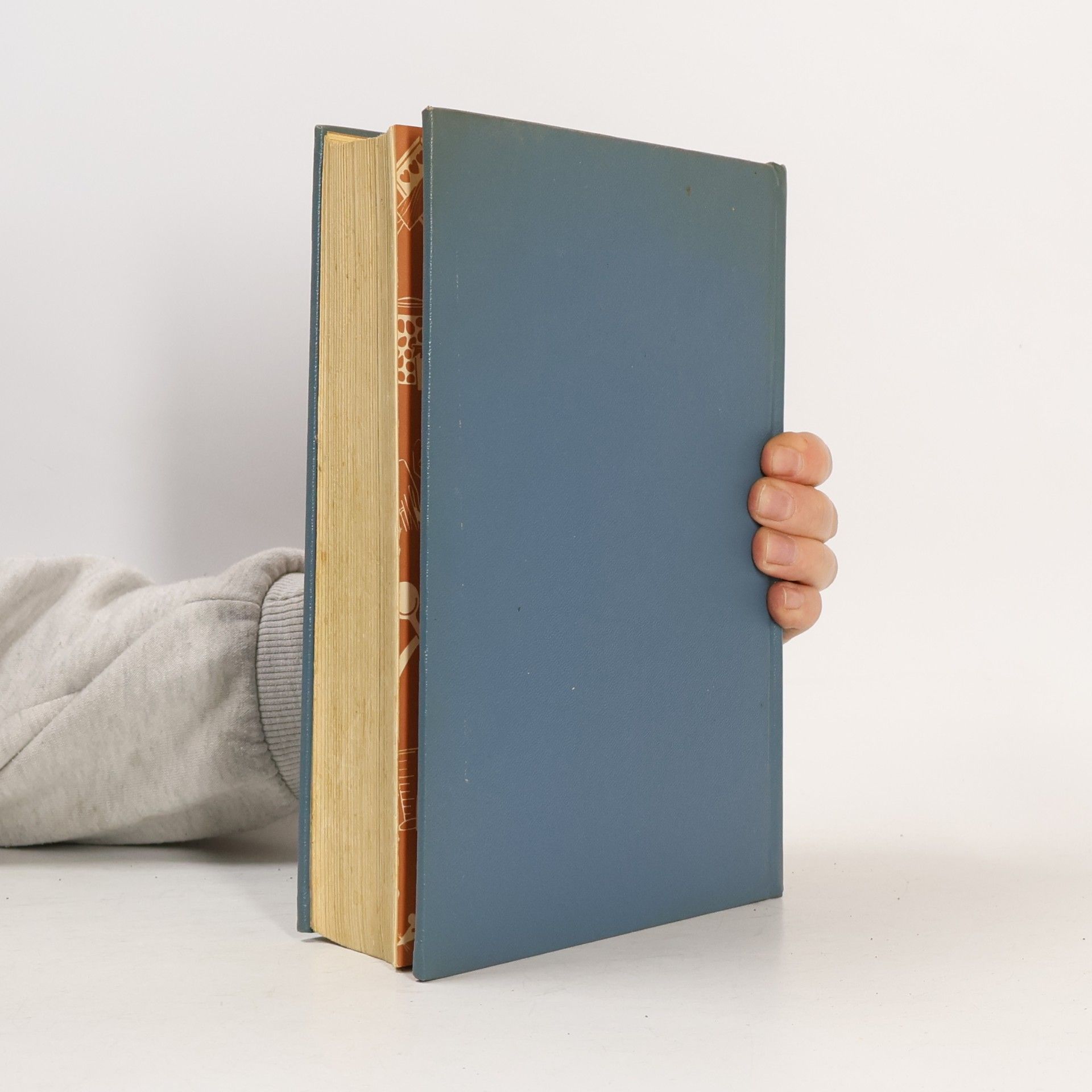 Erna Zietzschmann Das große Kochbuch