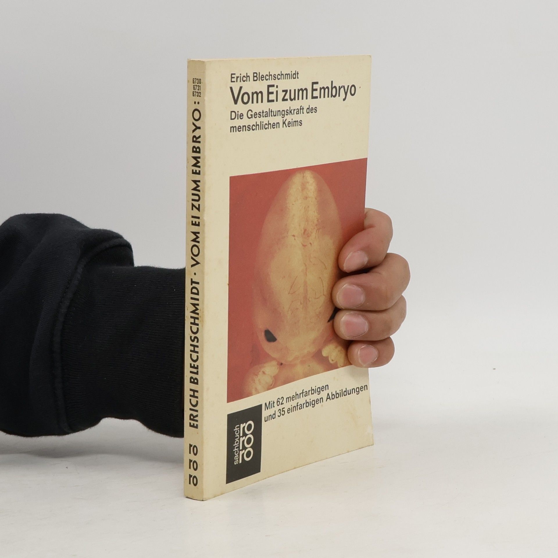 Erich Blechschmidt Vom Ei zum Embryo