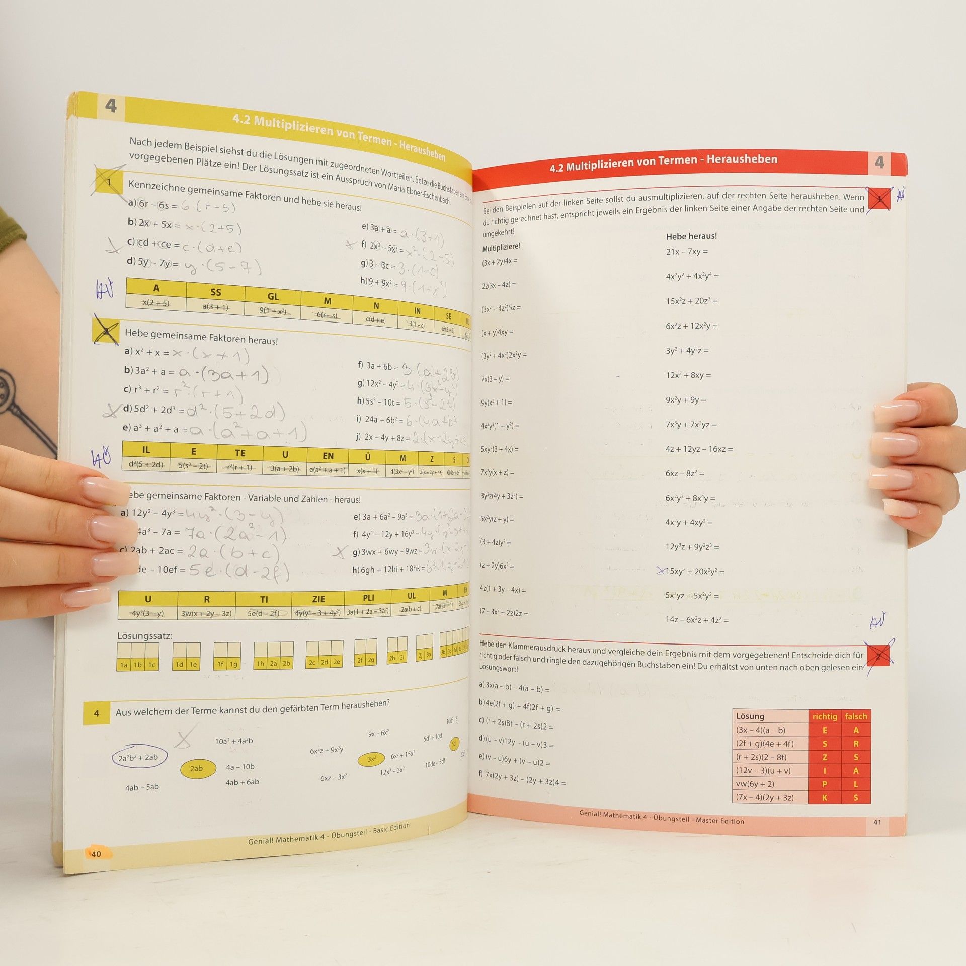 Gordan Varelija Genial! Mathematik 4. Übungsbuch Basic + Master Edition
