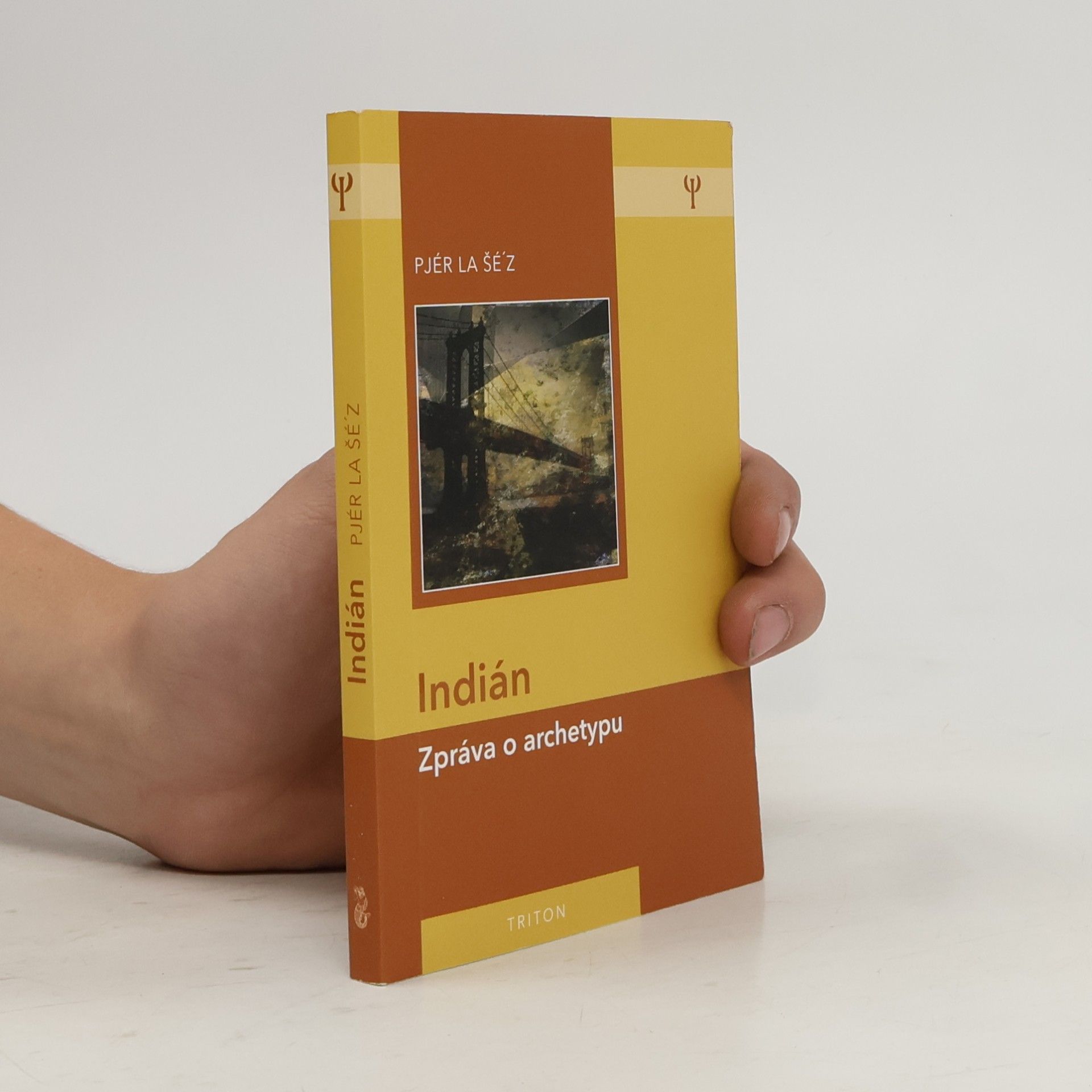 Pjér la Šéz Indián: Zpráva o archetypu