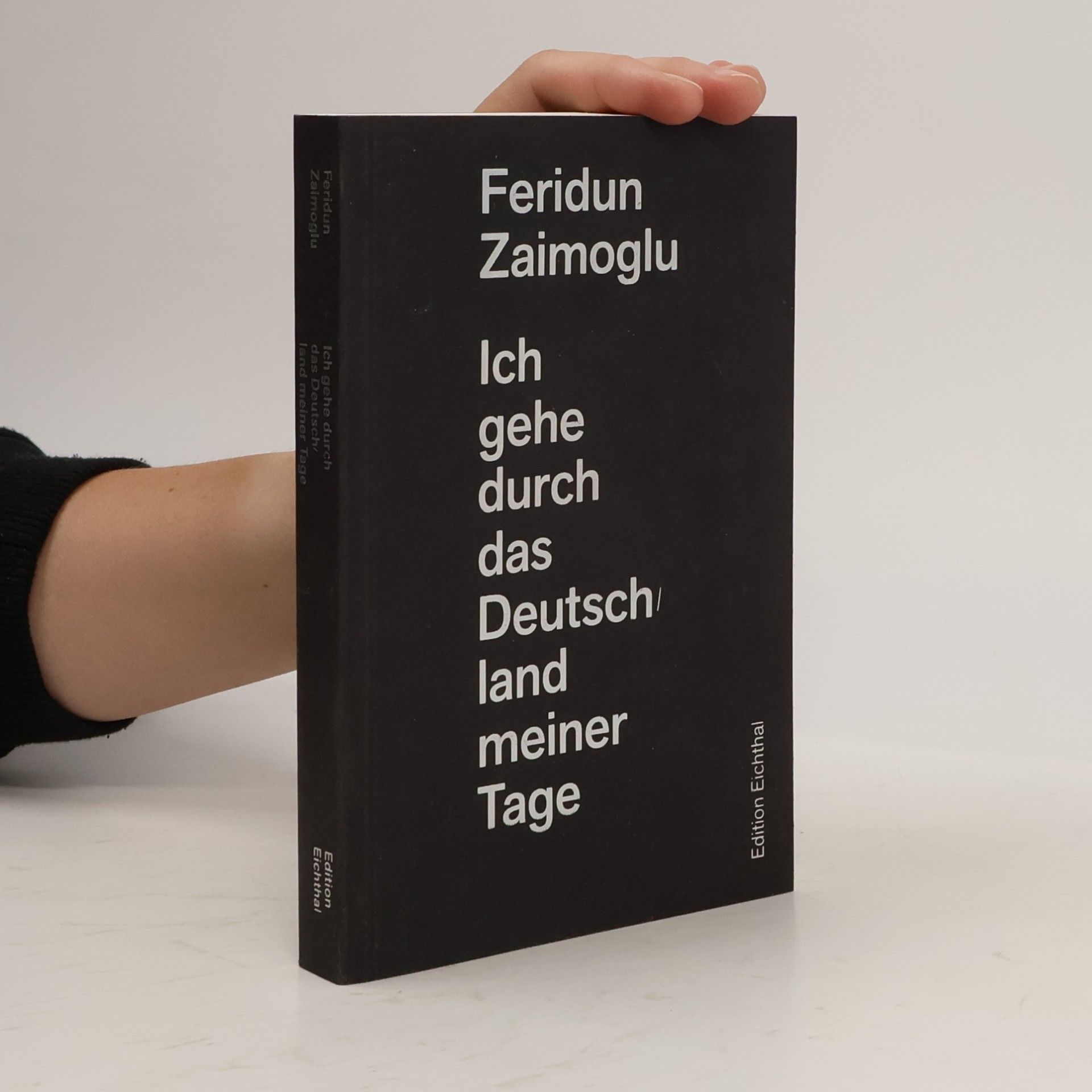Feridun Zaimoğlu Ich gehe durch das Deutschland meiner Tage