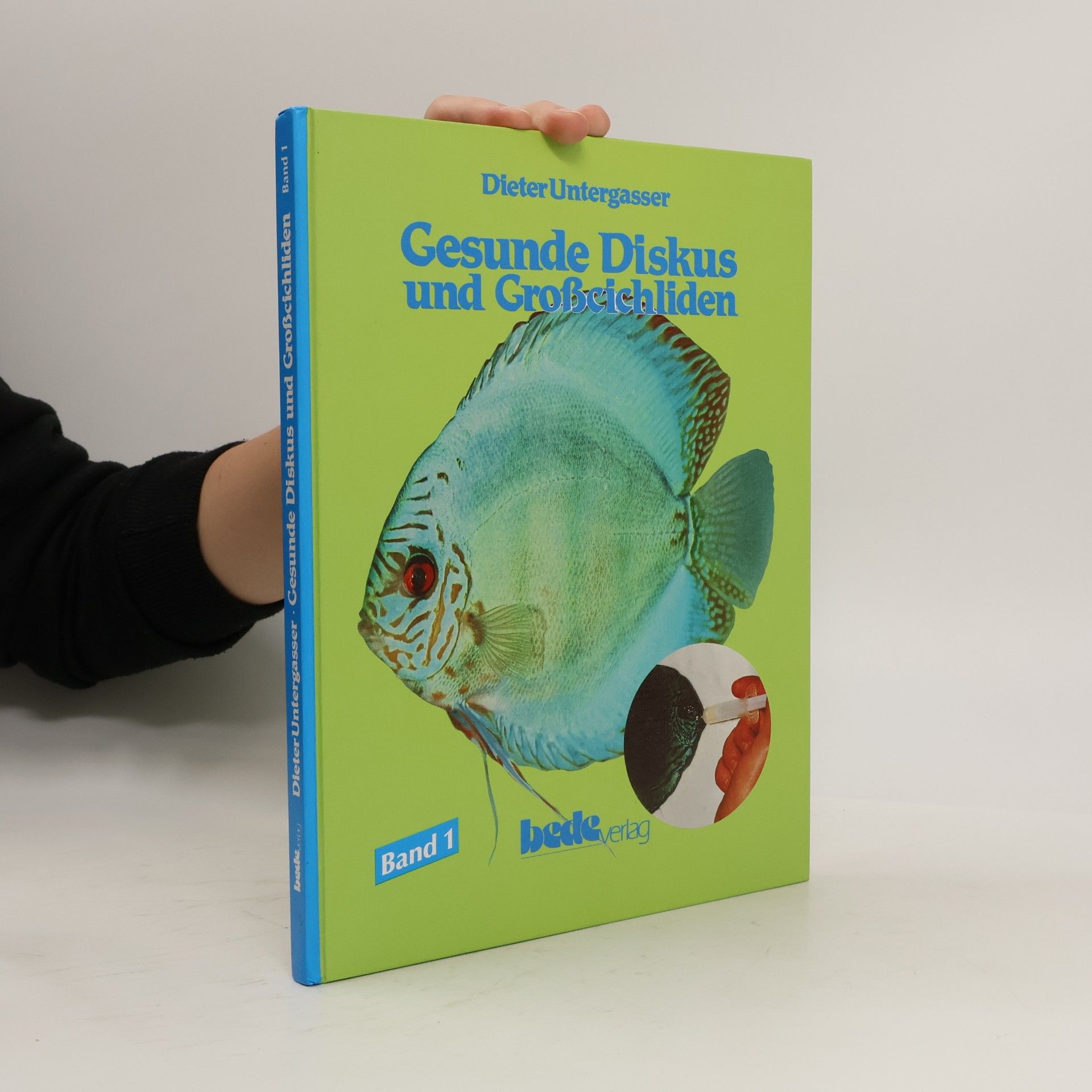 kolektiv Gesunde Diskus und Grosscichliden