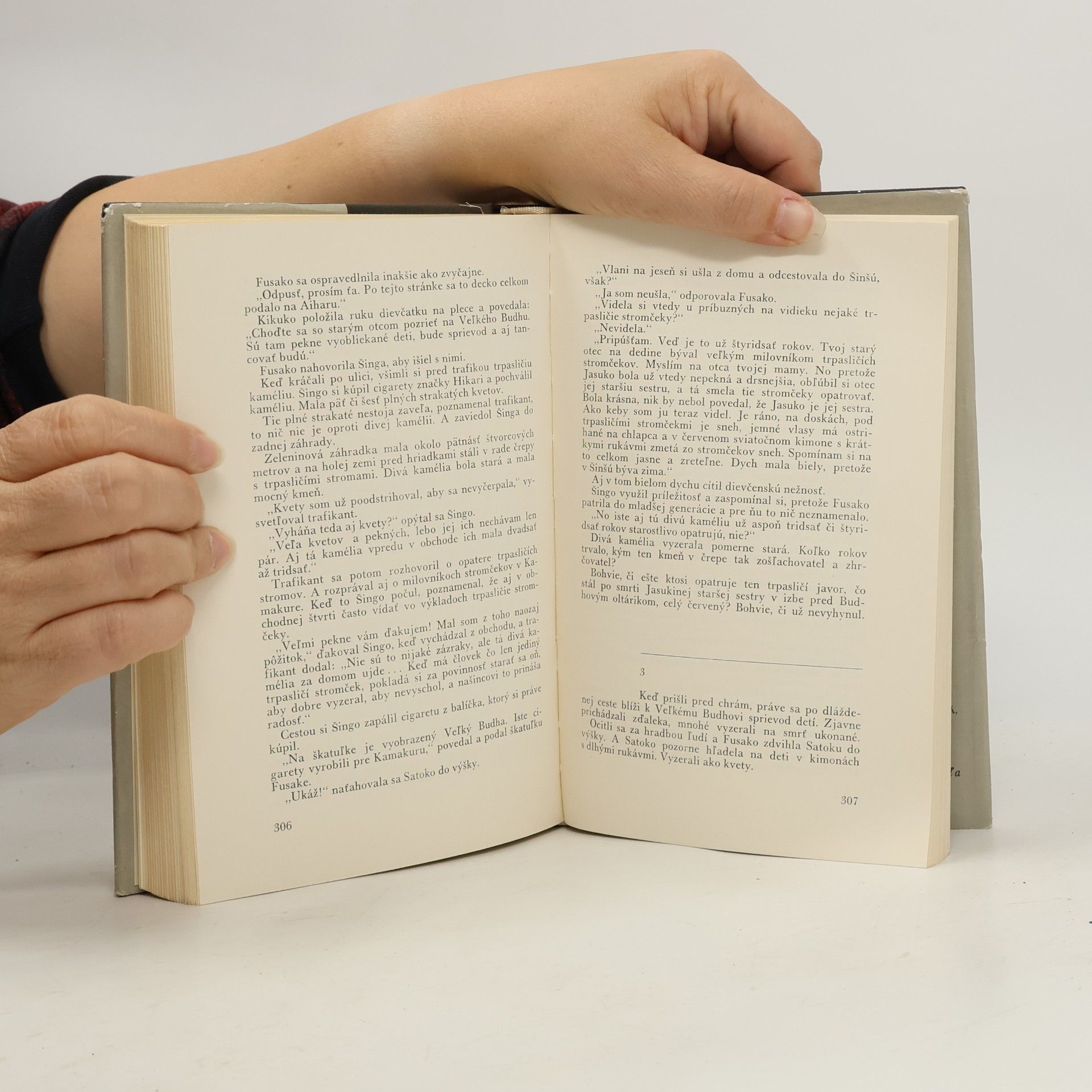 Jasunari Kawabata Spiace krásavice