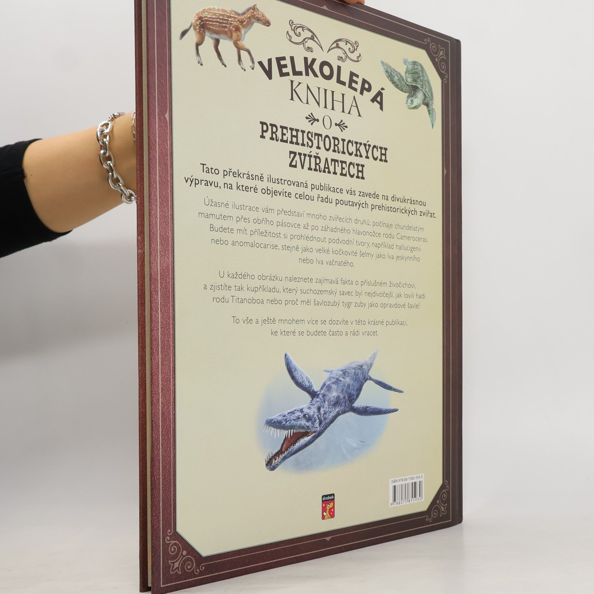 Tom Jackson Velkolepá kniha o prehistorických zvířatech