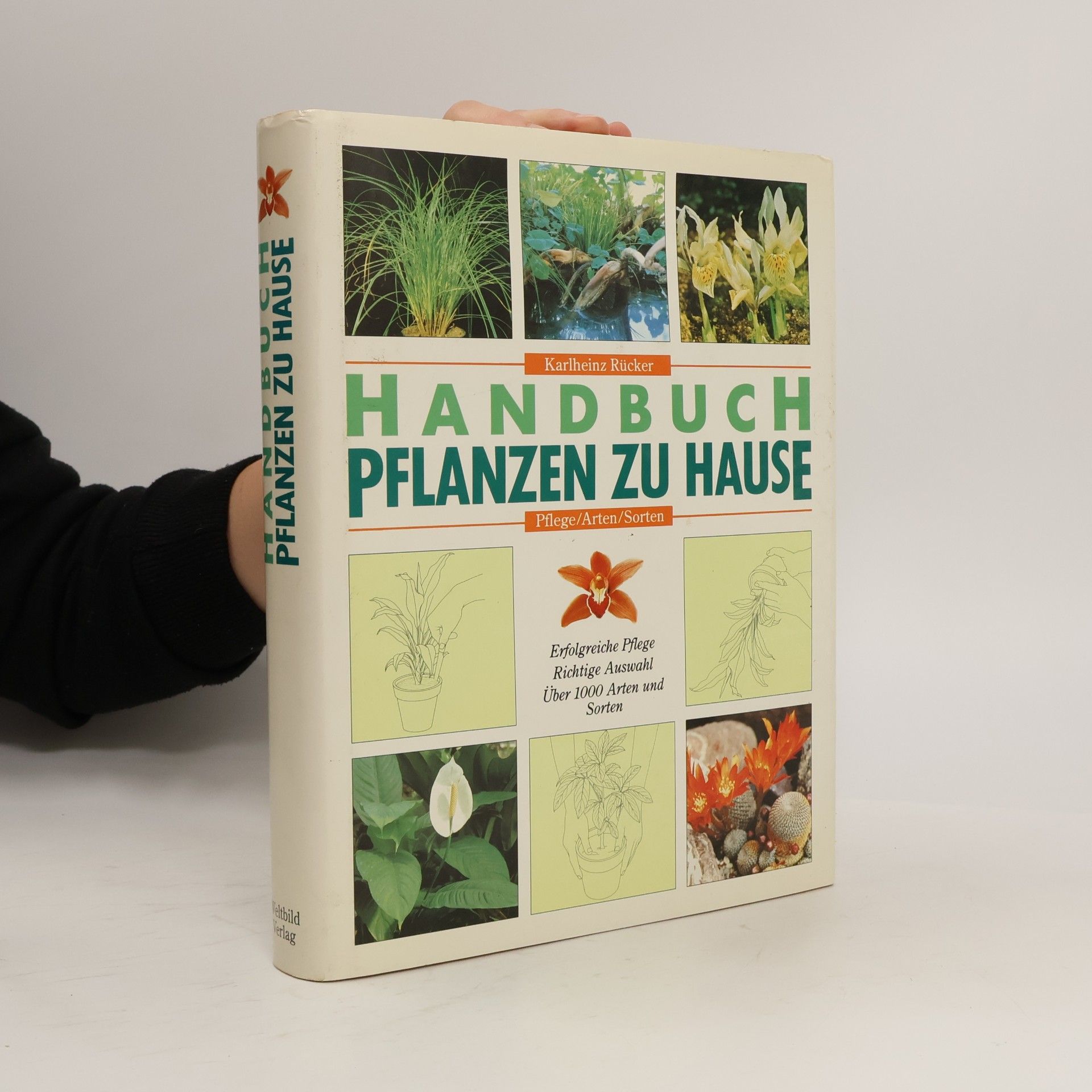Handbuch Pflanzen zu Hause