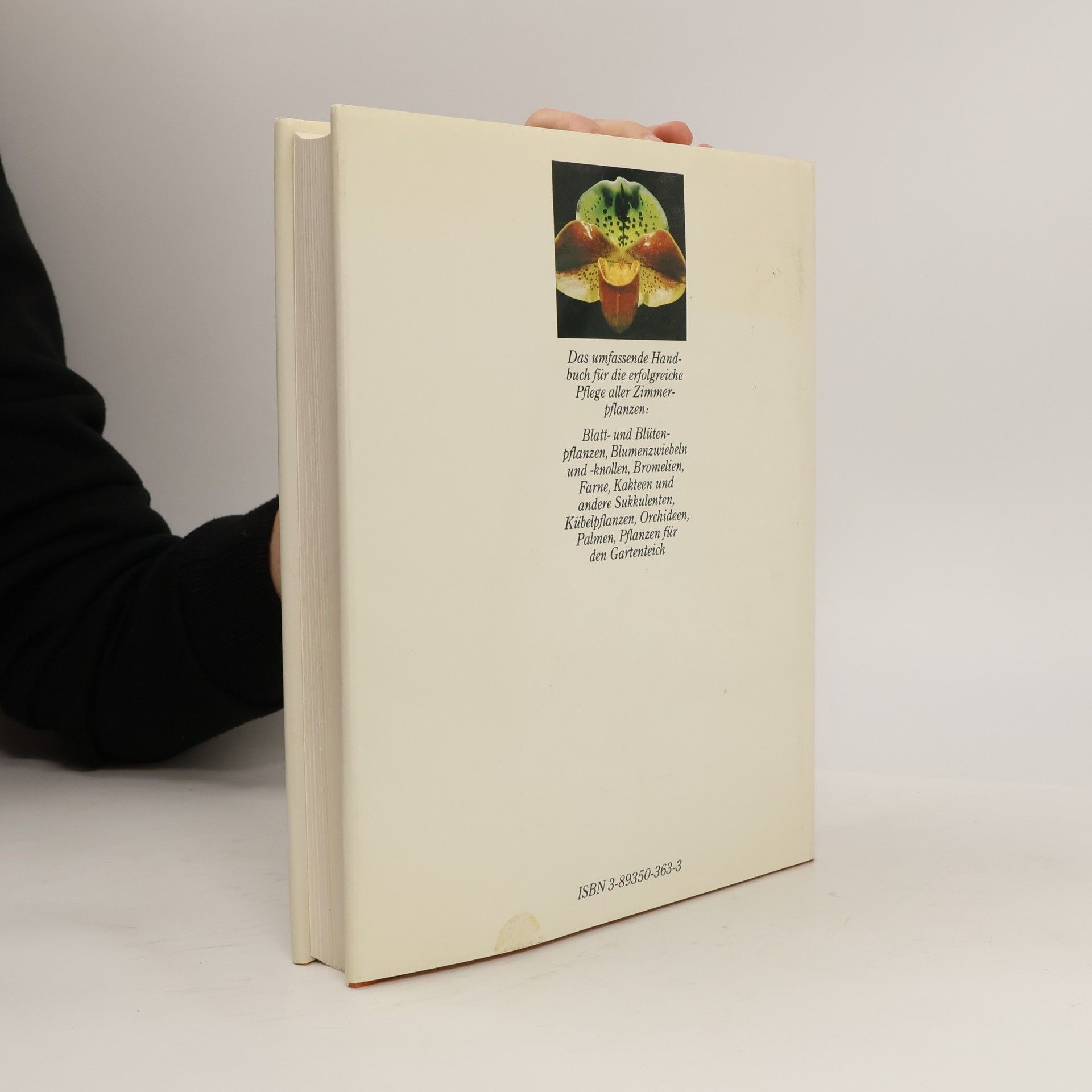 Karlheinz Rücker Handbuch Pflanzen zu Hause