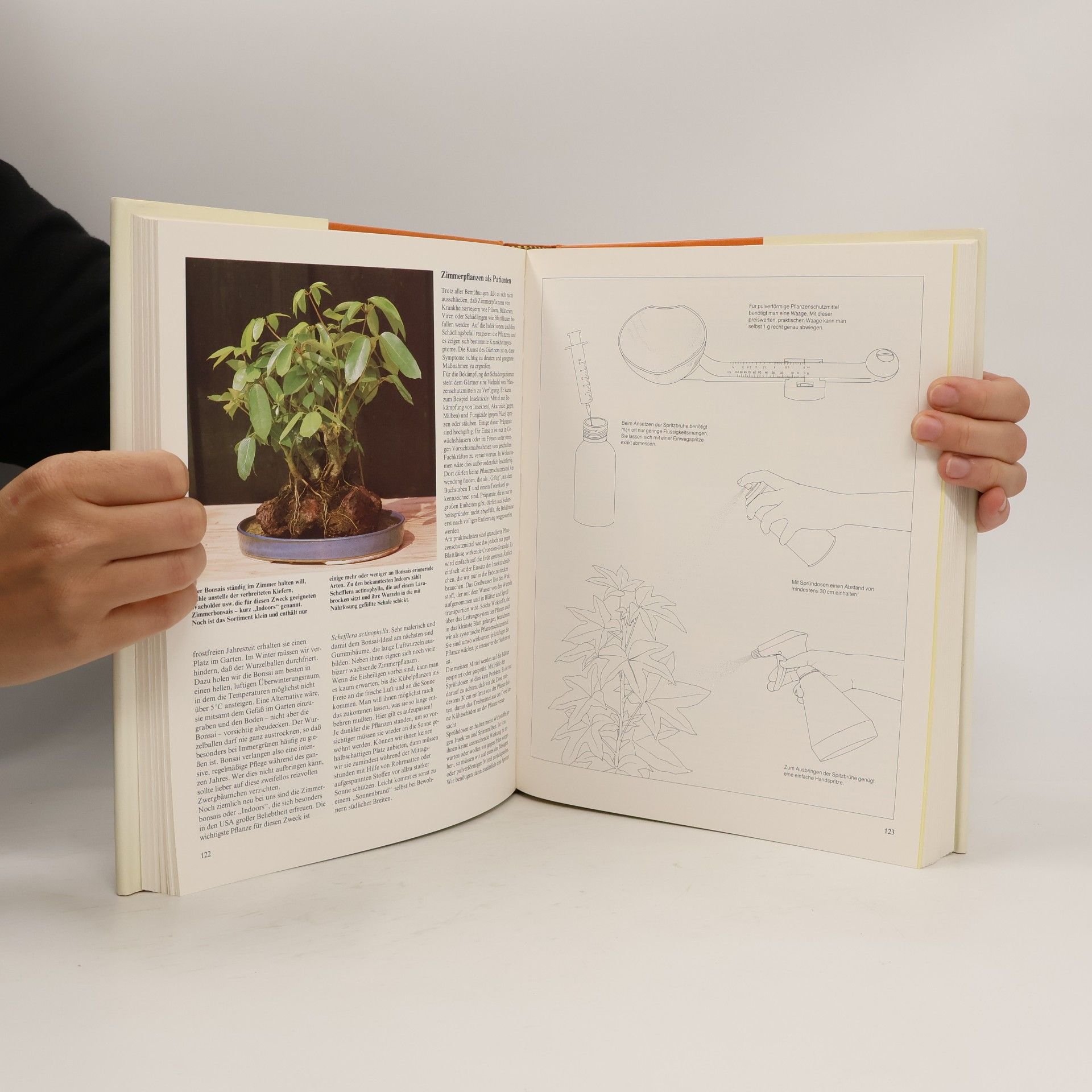 Karlheinz Rücker Handbuch Pflanzen zu Hause