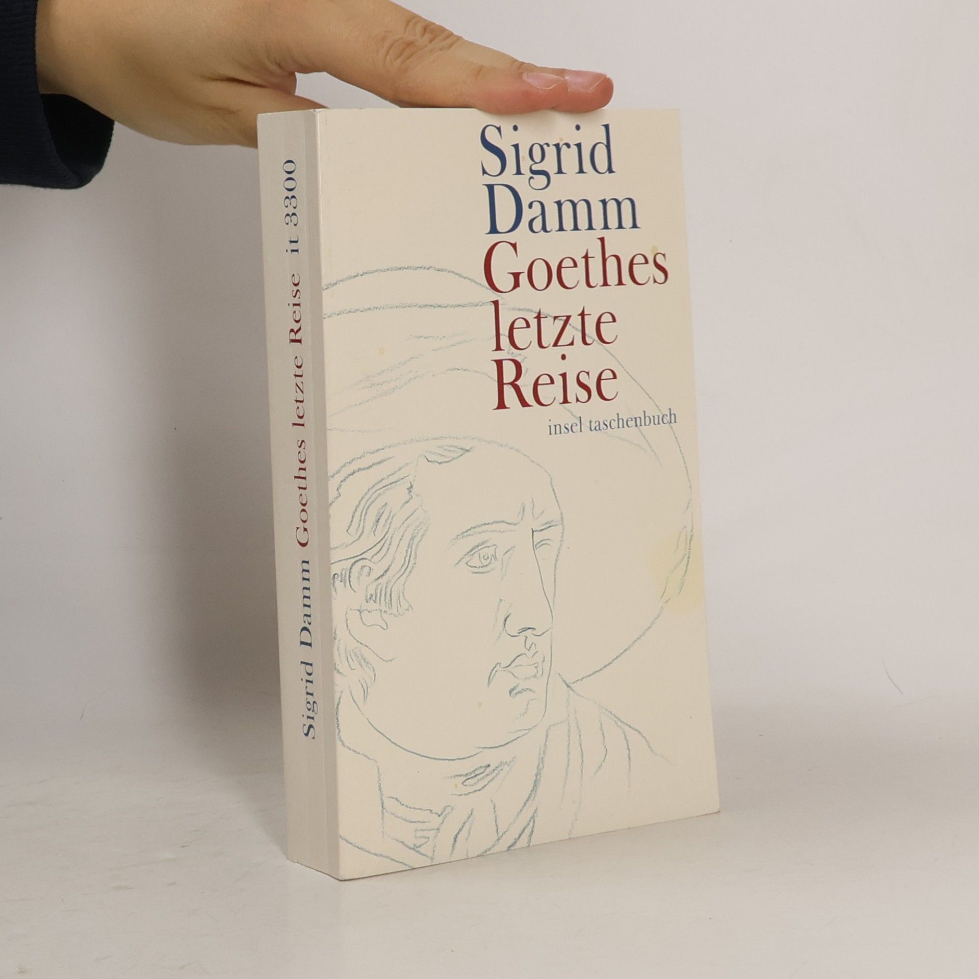 Sigrid Damm Goethes letzte Reise
