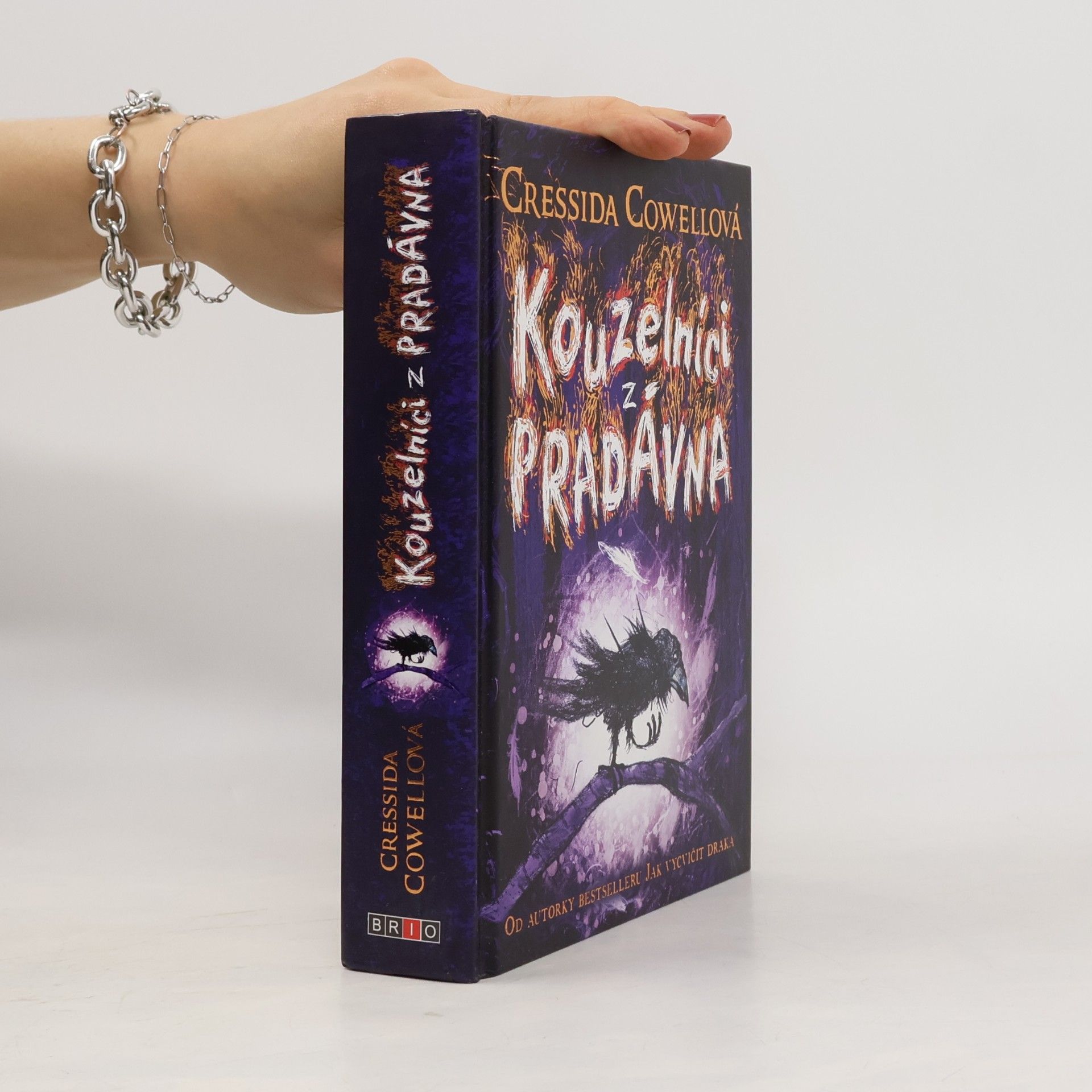 Cressida Cowell Kouzelníci z pradávna