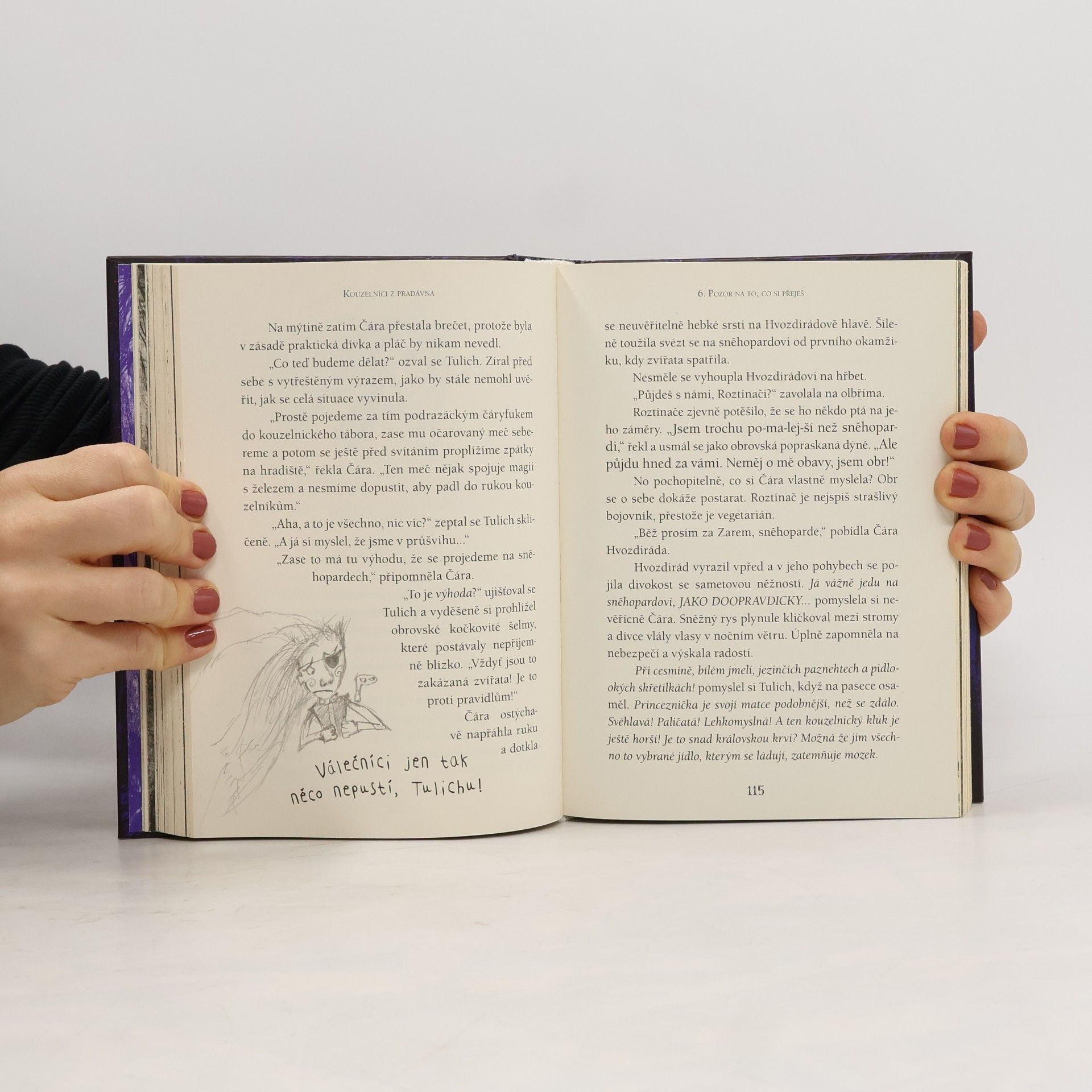 Cressida Cowell Kouzelníci z pradávna