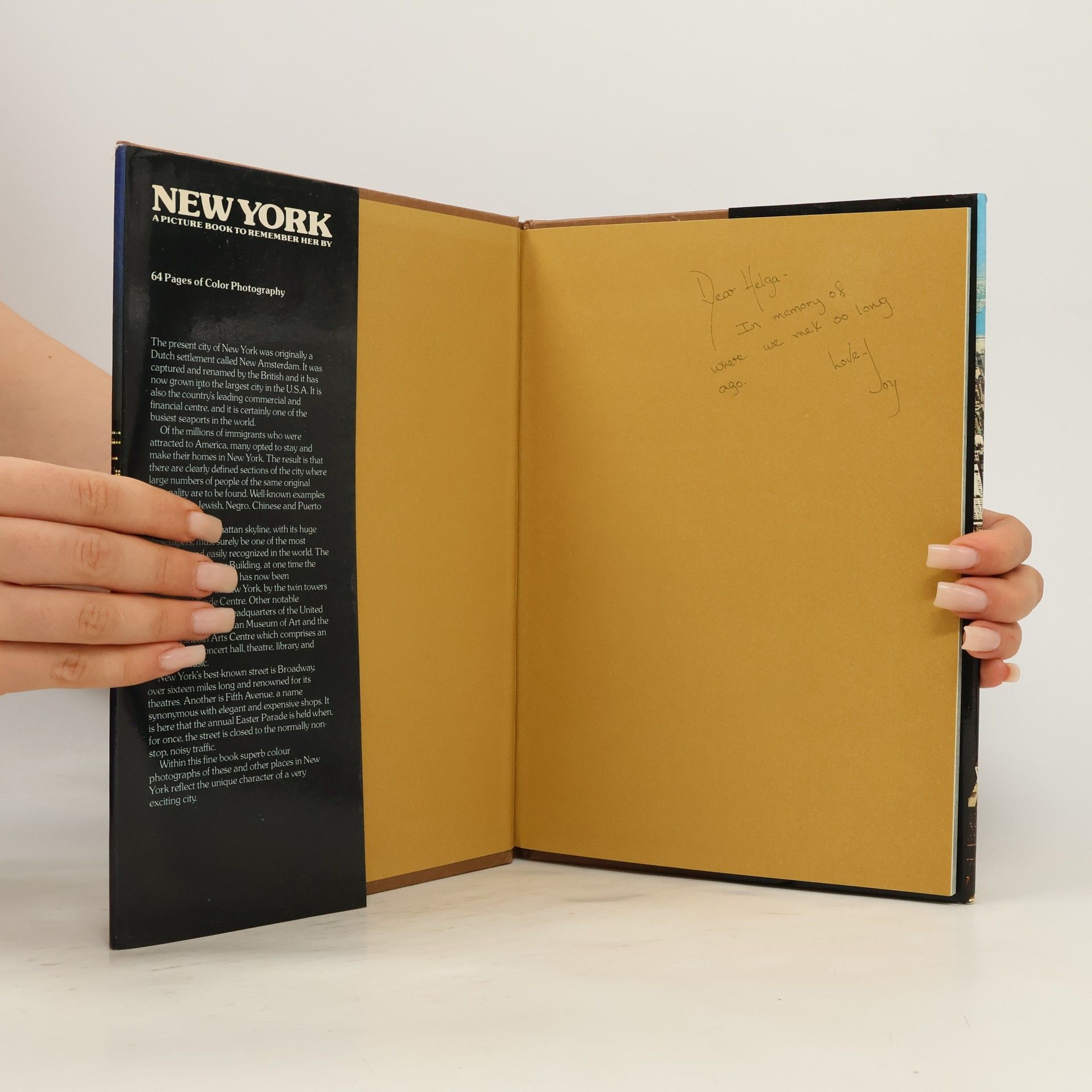 Various authors New York : A Picture Book to Remember Her by