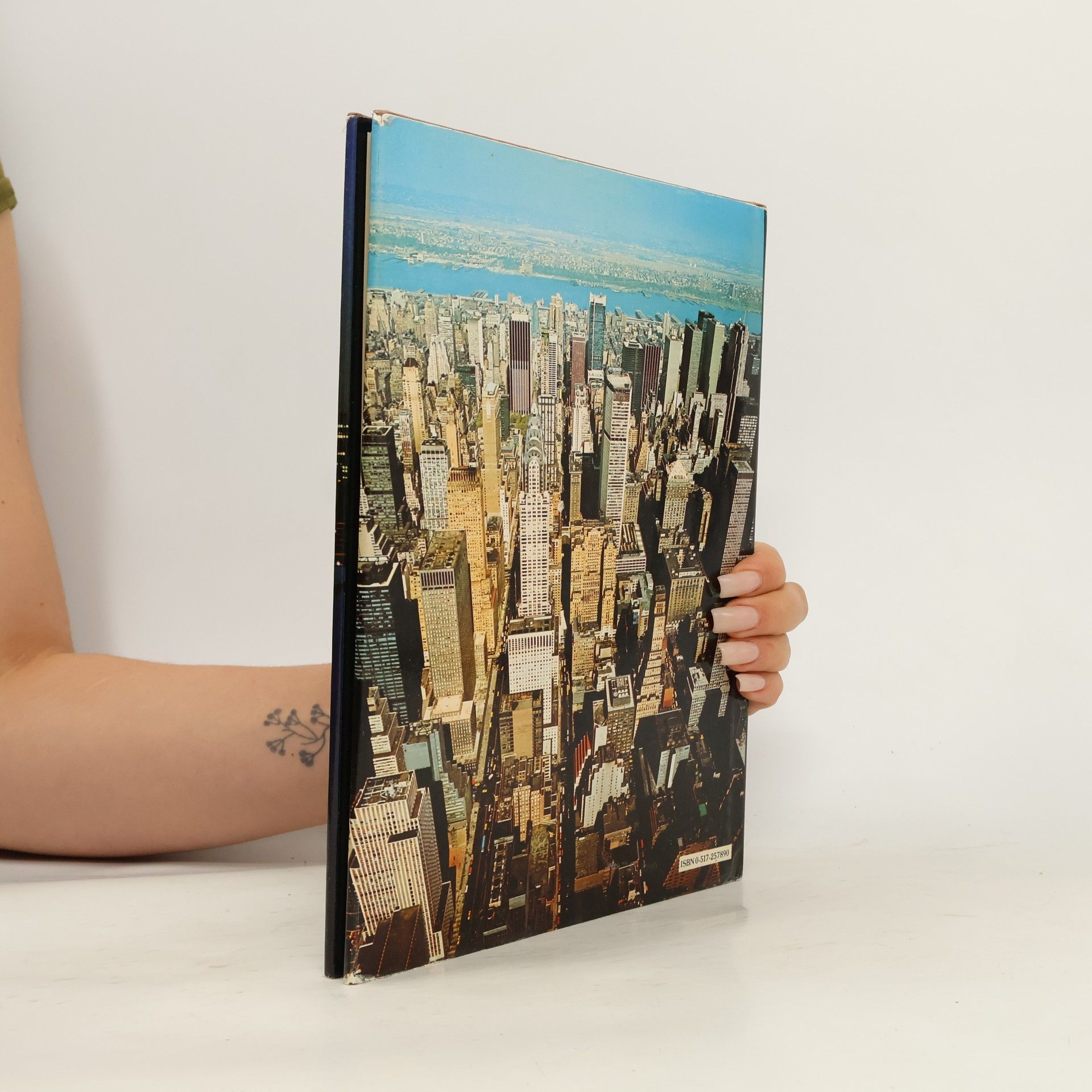 Various authors New York : A Picture Book to Remember Her by