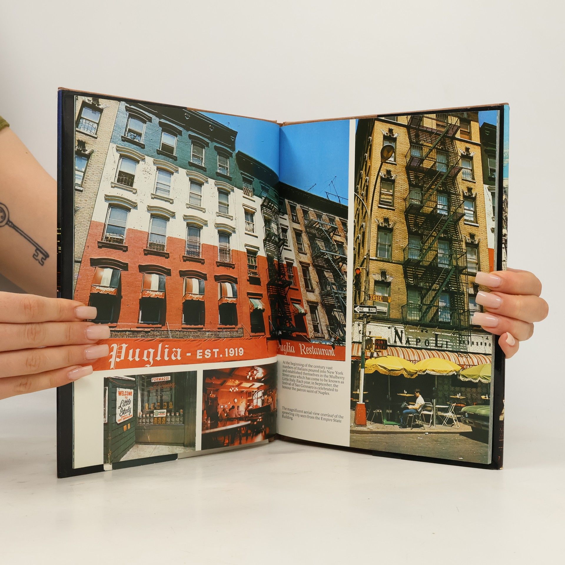 Various authors New York : A Picture Book to Remember Her by