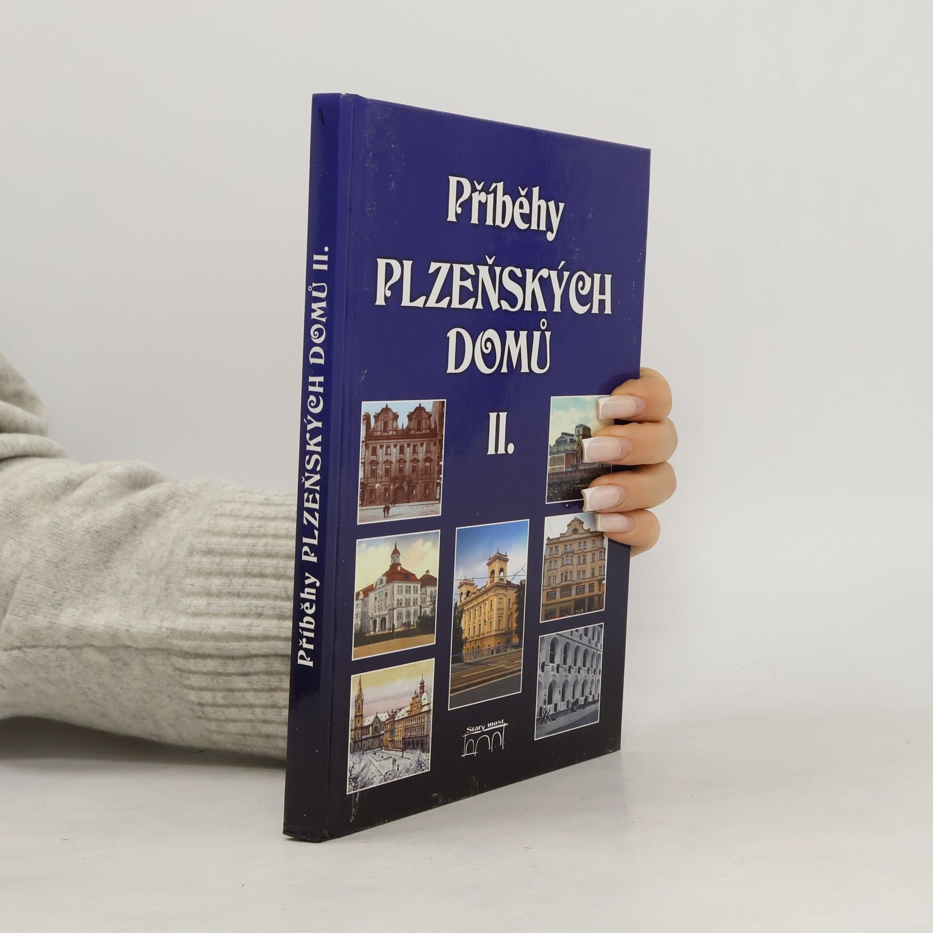 kolektiv Příběhy plzeňských domů II.