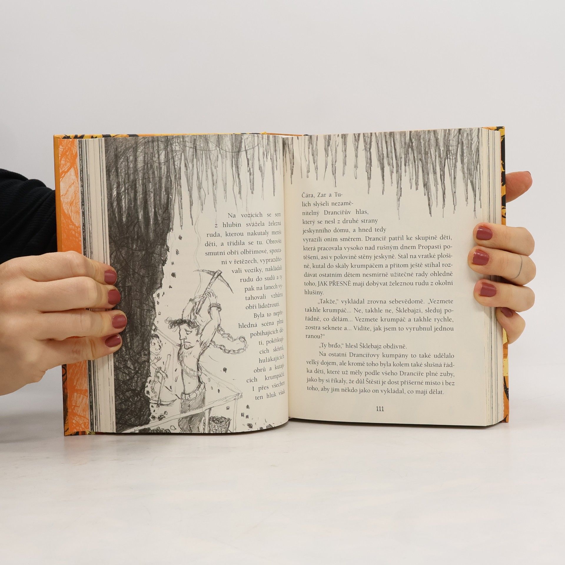 Cressida Cowell Ani do skonání věků