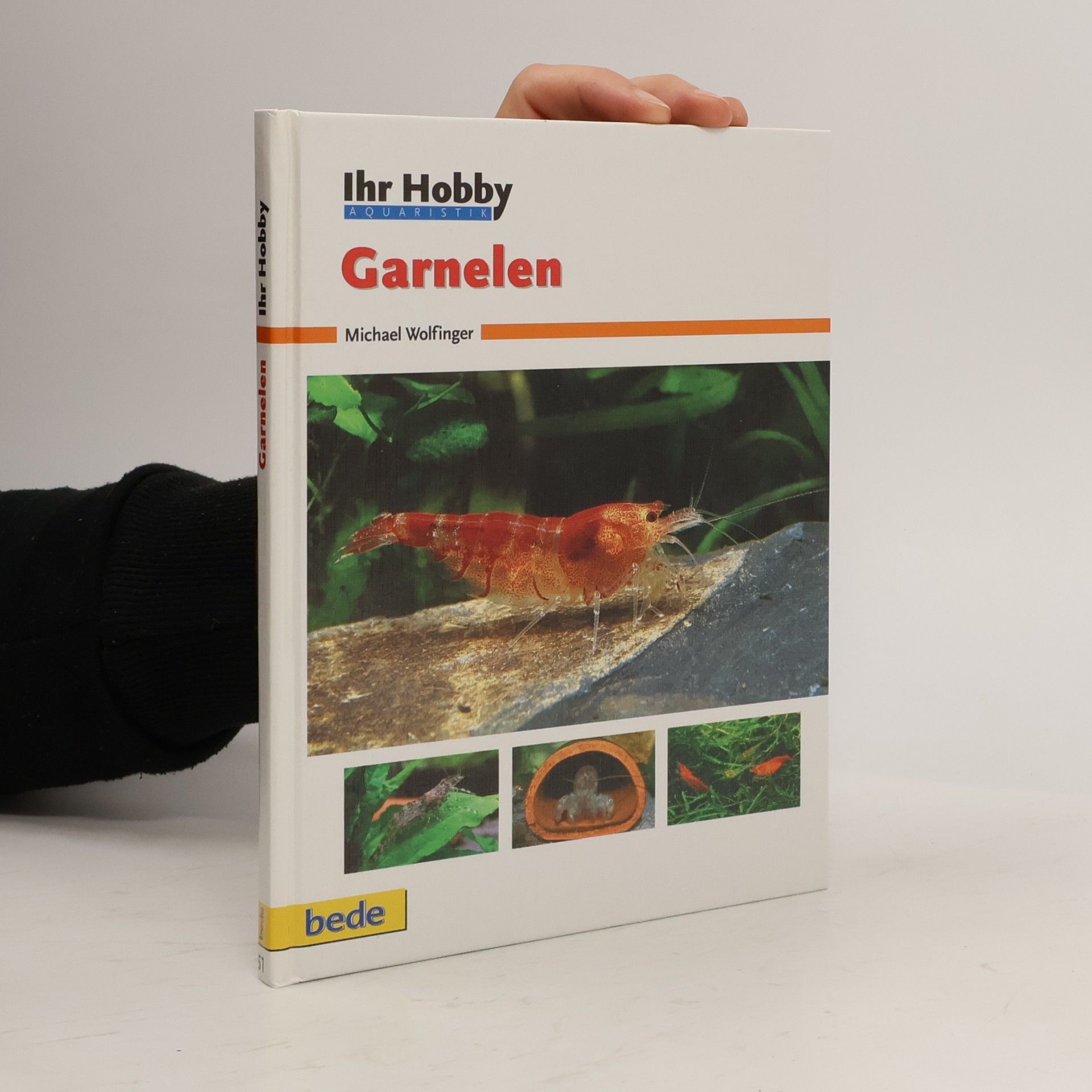 Michael Wolfinger Garnelen