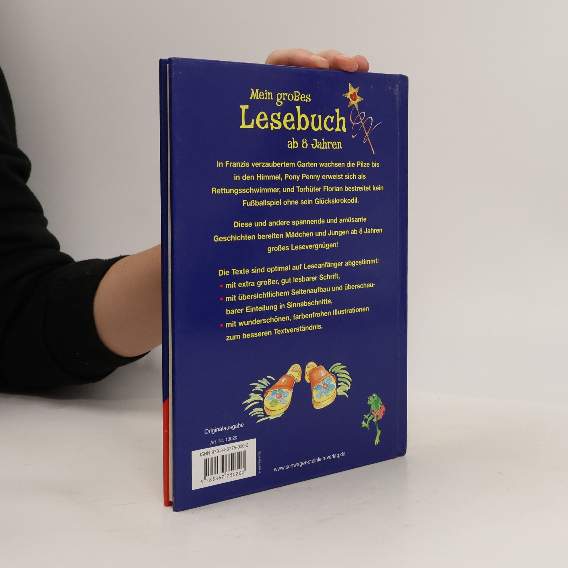 Anke Breitenborn Mein großes Lesebuch