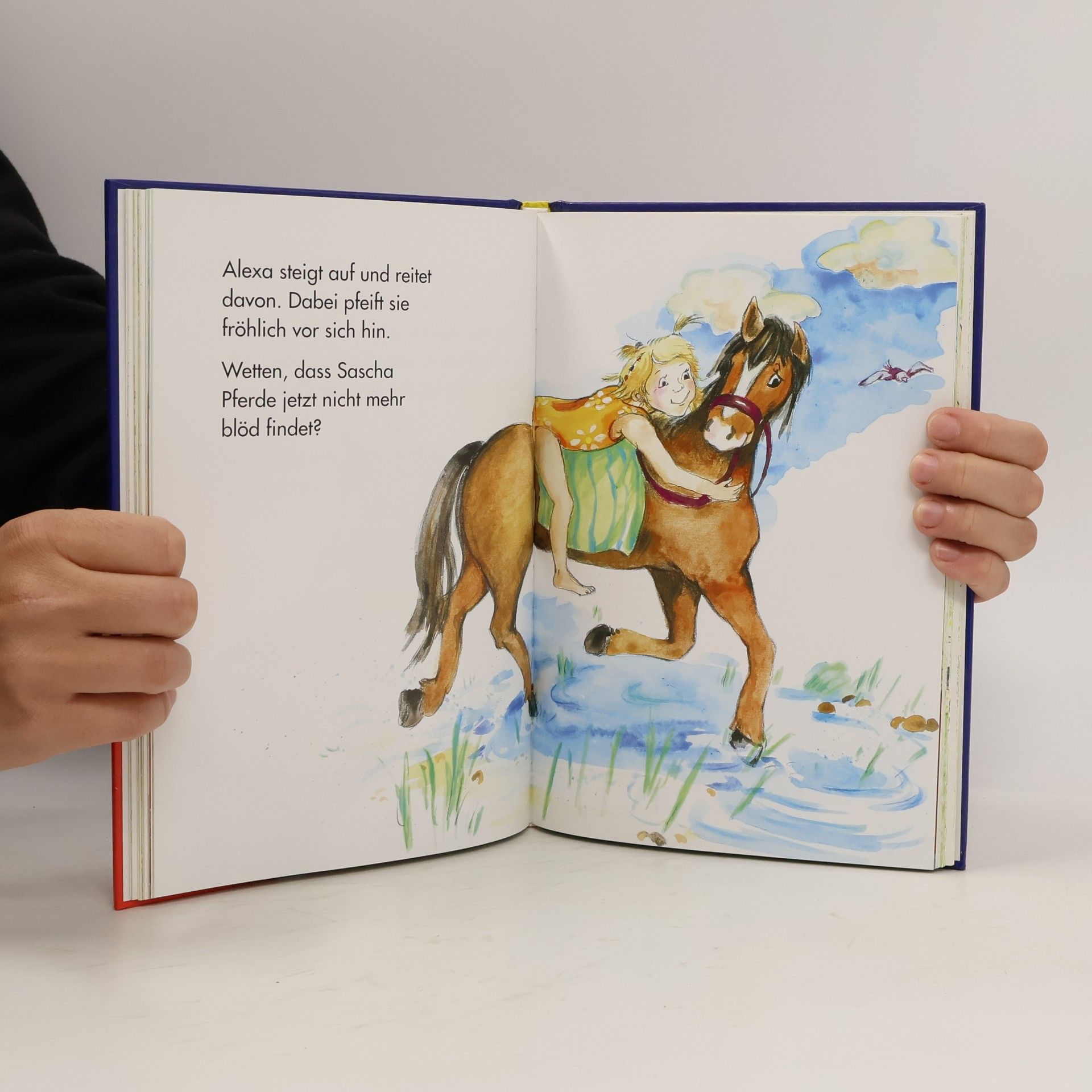 Anke Breitenborn Mein großes Lesebuch