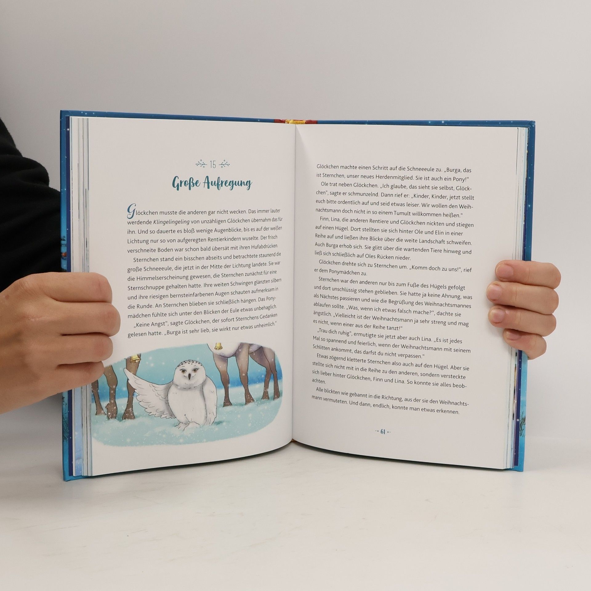 Annette Moser Glöckchen, das Weihnachtspony - Ein magisches Winterwunder