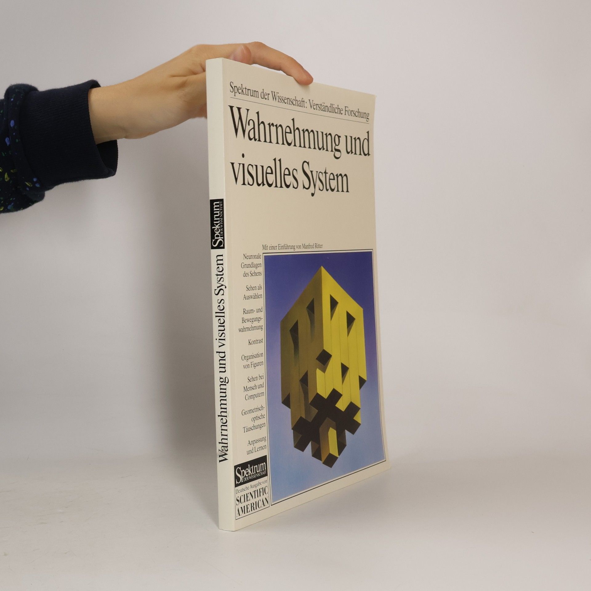 Manfred Ritter Wahrnehmung und visuelles System