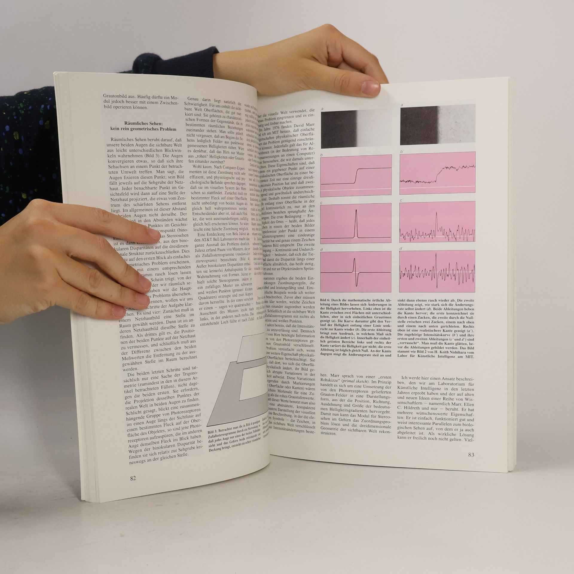 Manfred Ritter Wahrnehmung und visuelles System