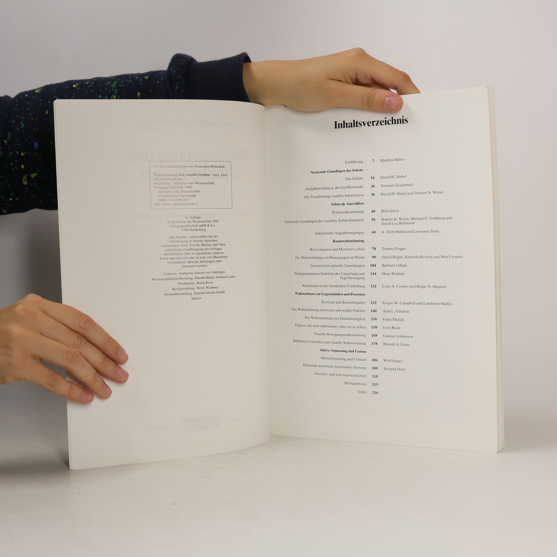 Manfred Ritter Wahrnehmung und visuelles System