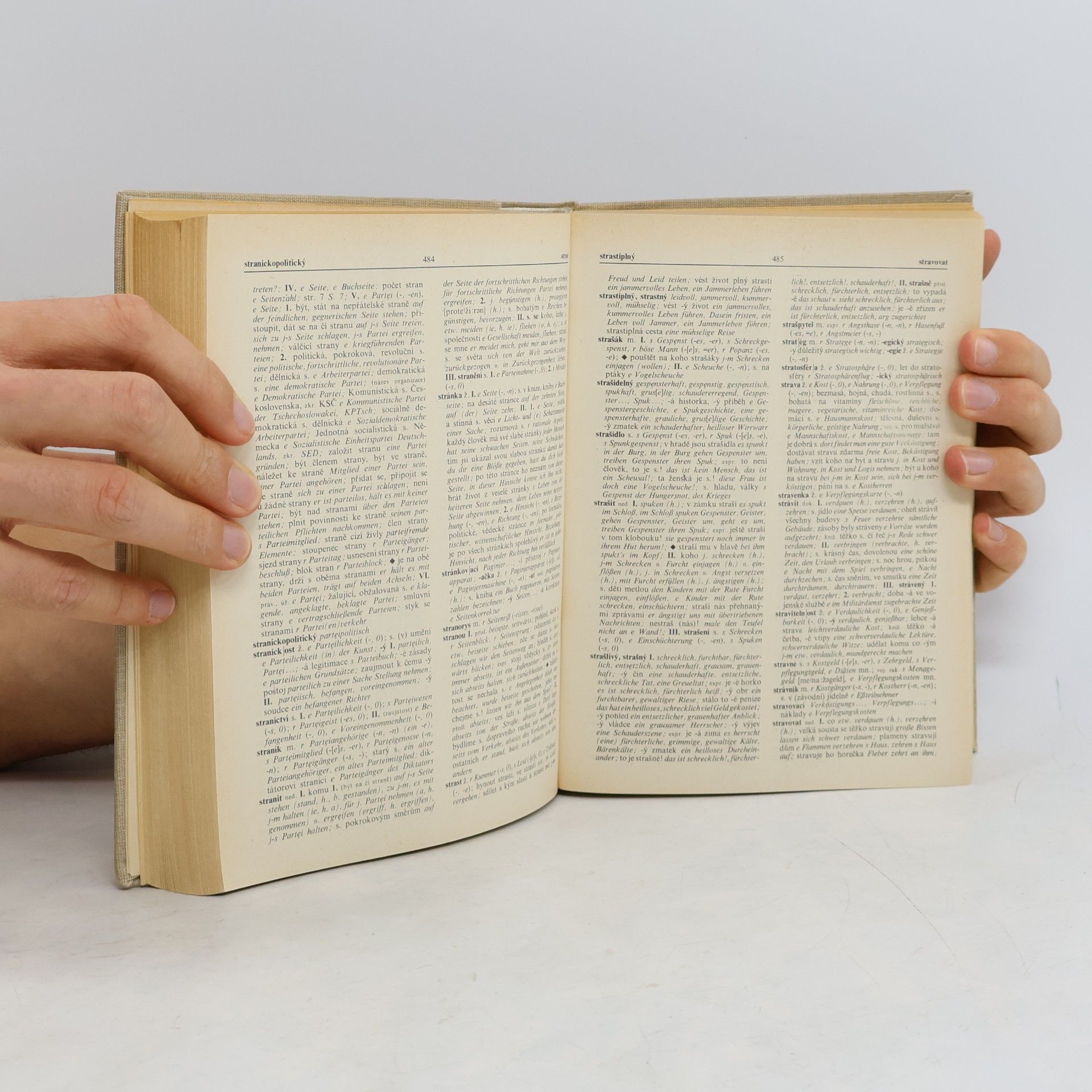 Autorenkollektiv Česko-německý slovník II. P-Ž