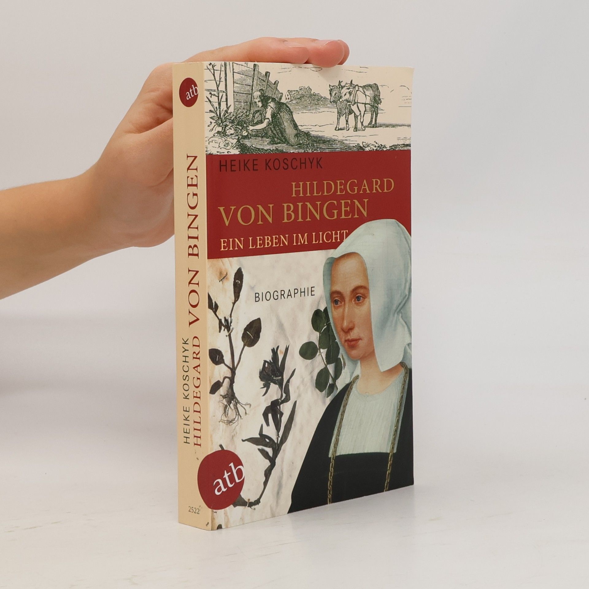 Heike Koschyk Hildegard von Bingen, Ein Leben im Licht