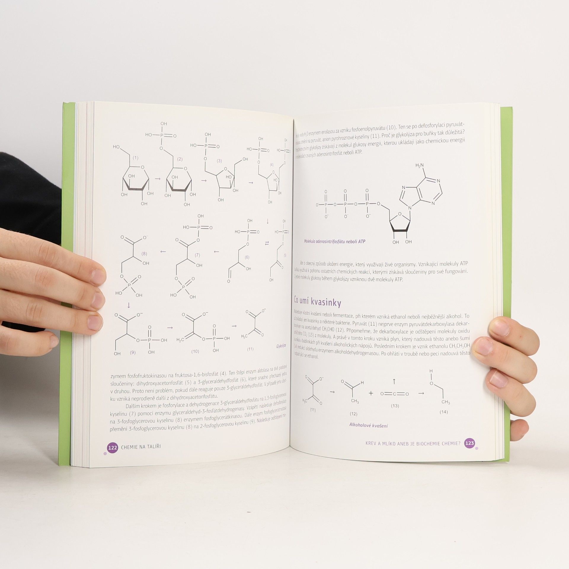 Ondřej Dvořák Chemie na talíři