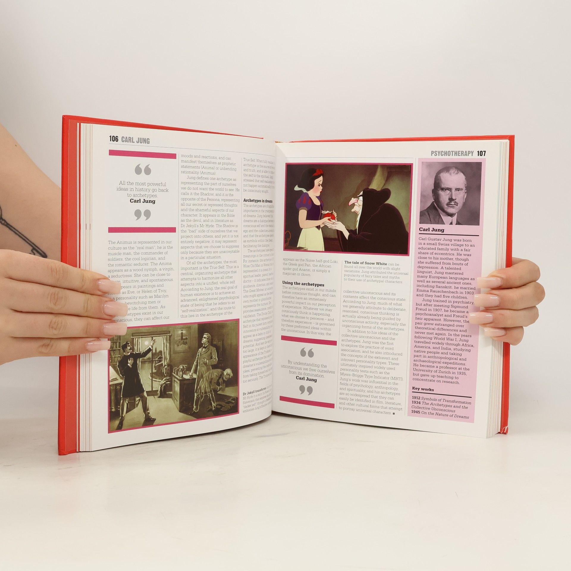 Kolektiv autorů The Psychology Book