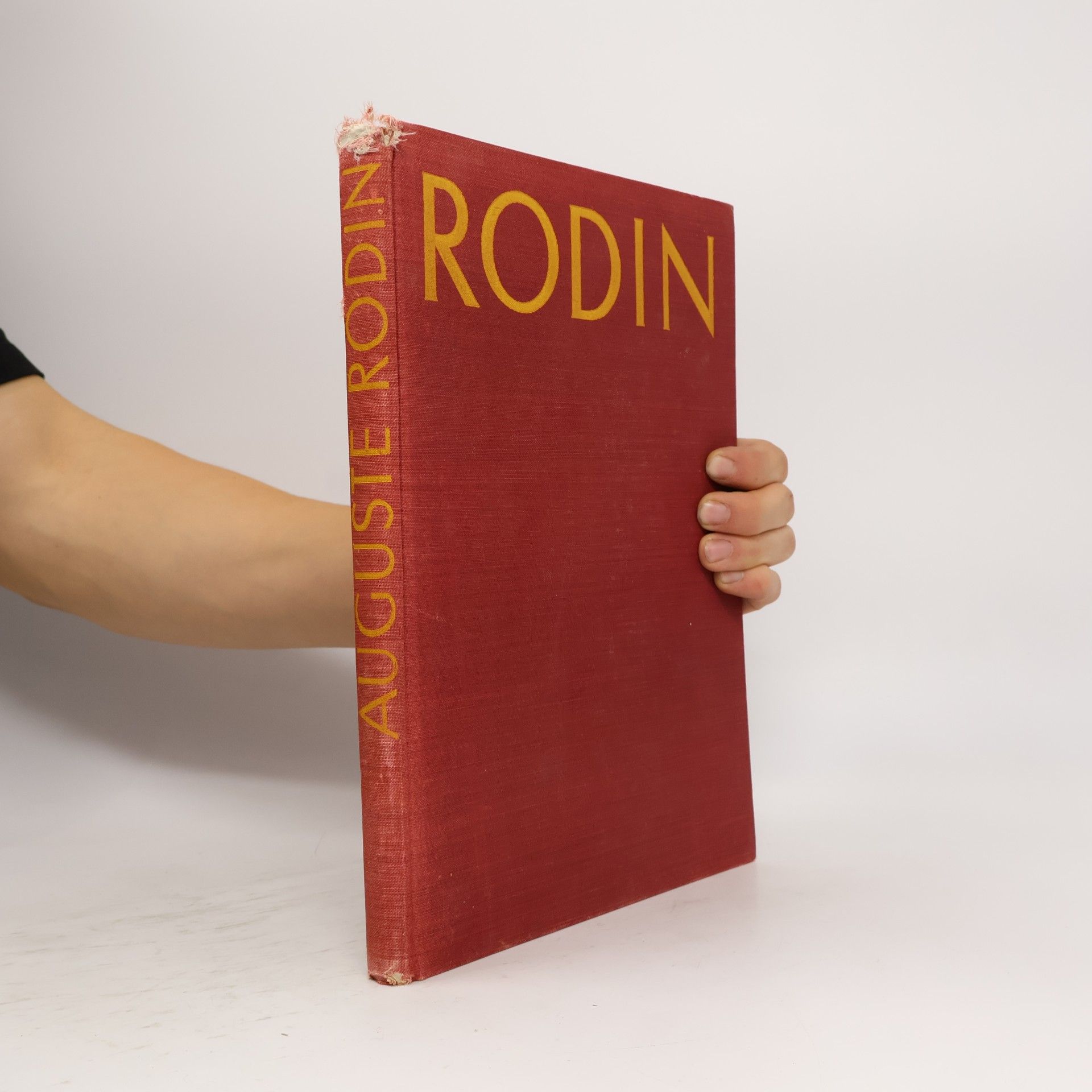 Auguste Rodin Rodin
