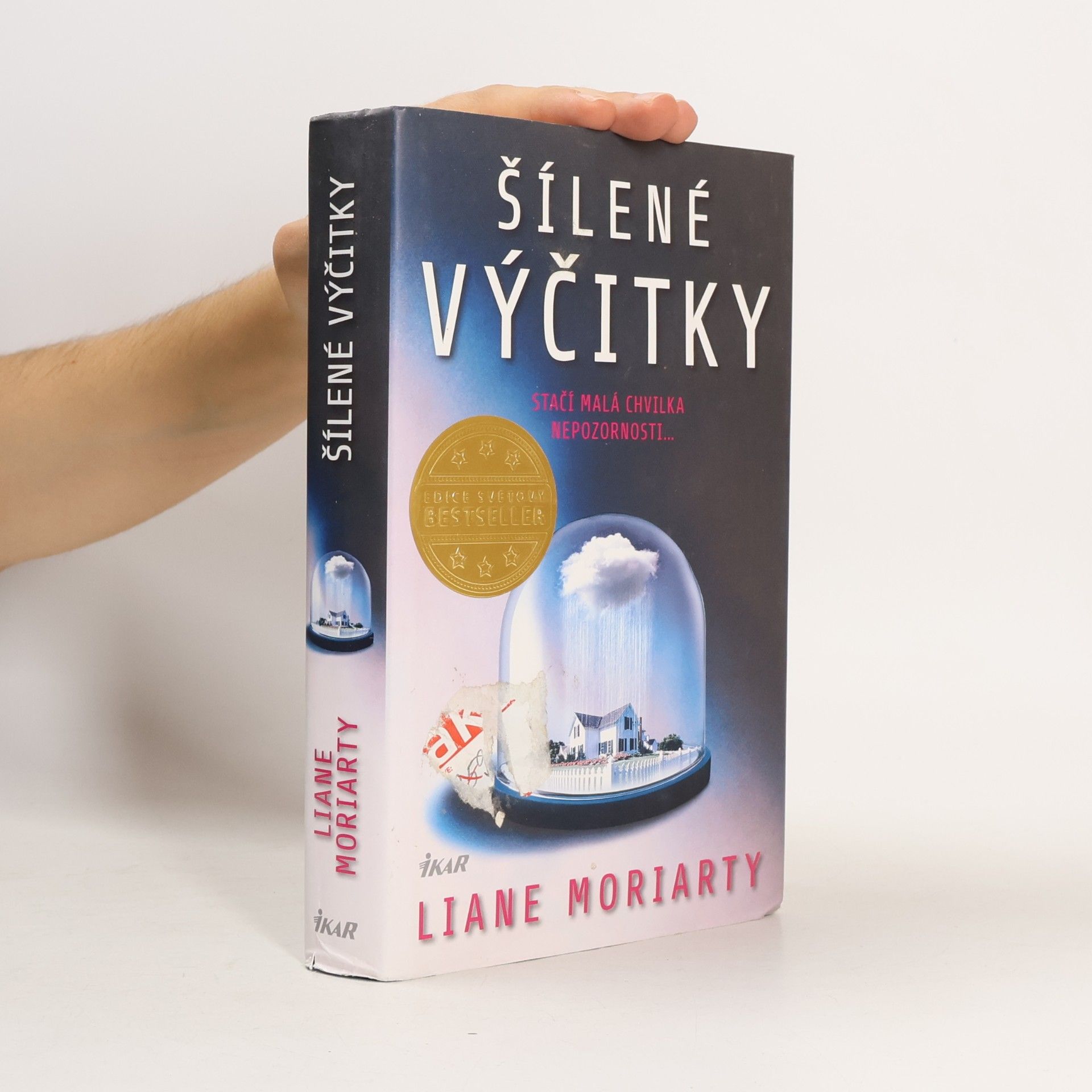 Liane Moriarty Šílené výčitky